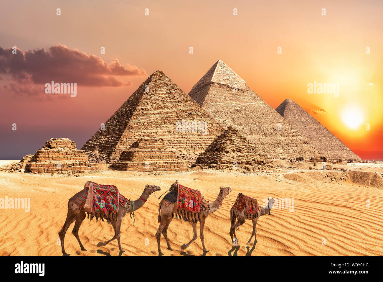 Camel caravan near the Giza Pyramids of Egypt. Stock Photo