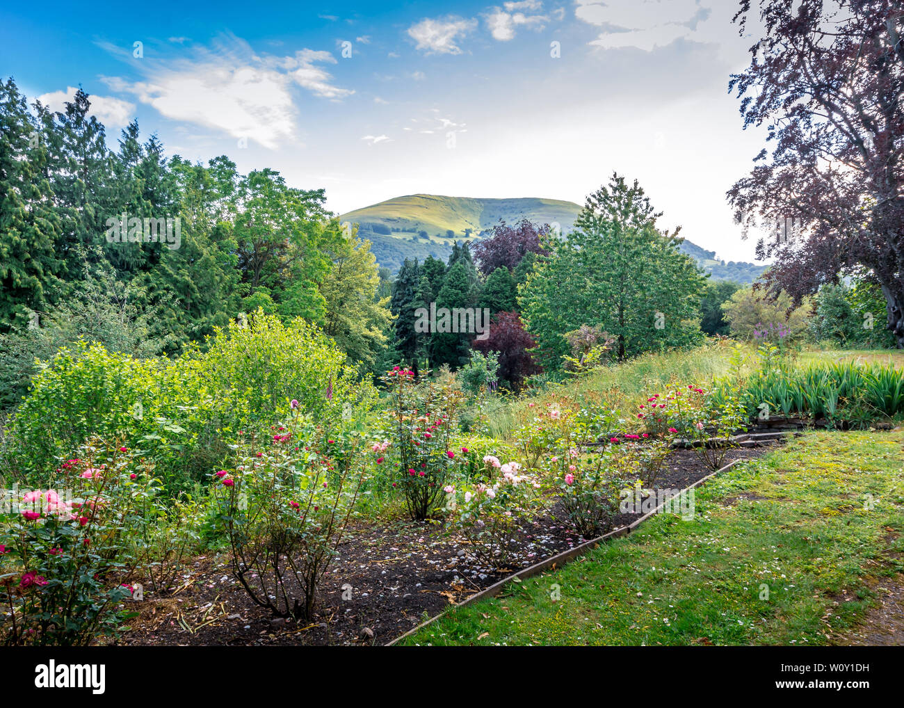 Beautiful Linda Vista Gardens in bloom in Abergavenny Stock Photo Alamy