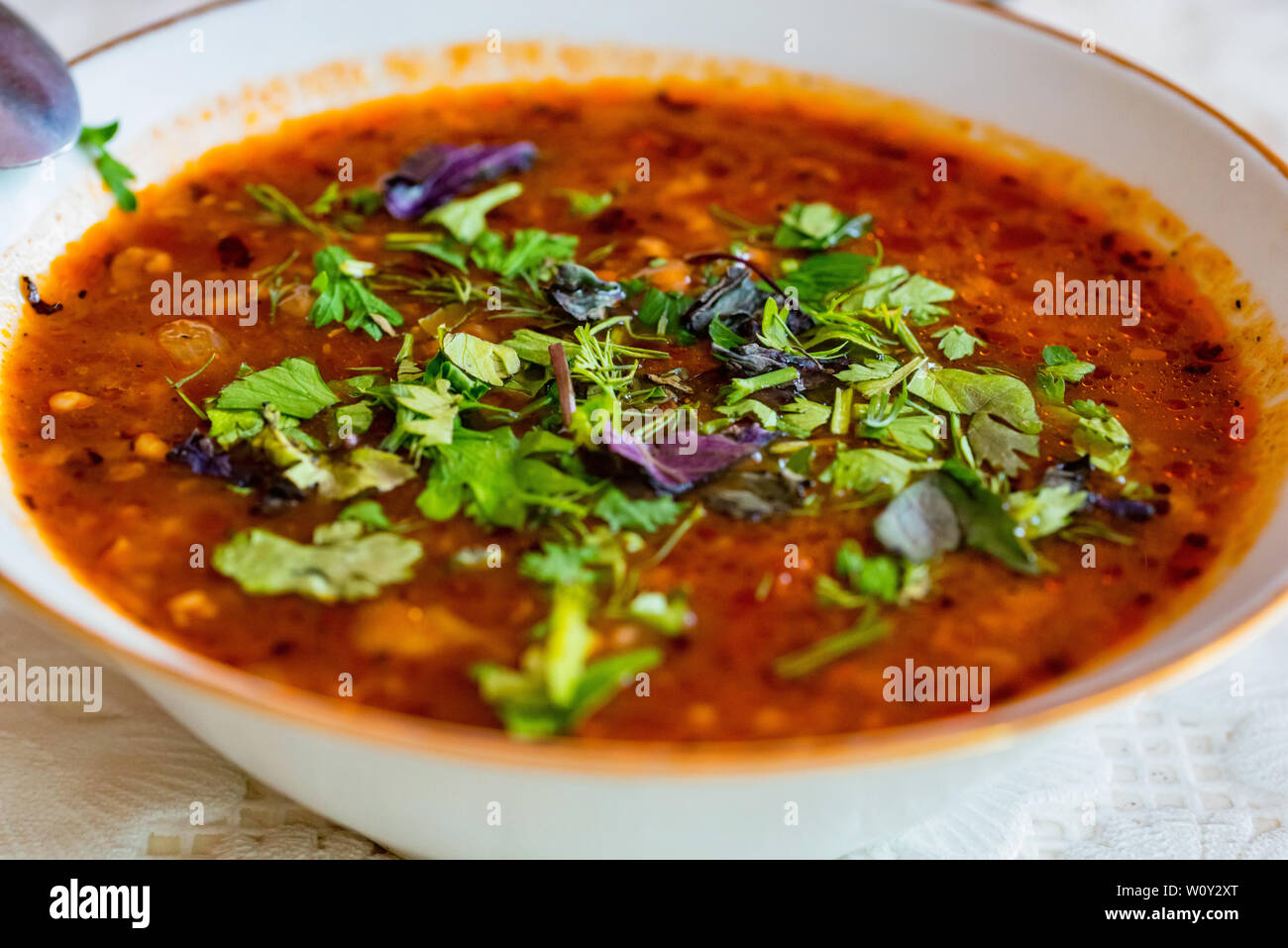 Traditional soup Kharcho with greenery in plate close Stock