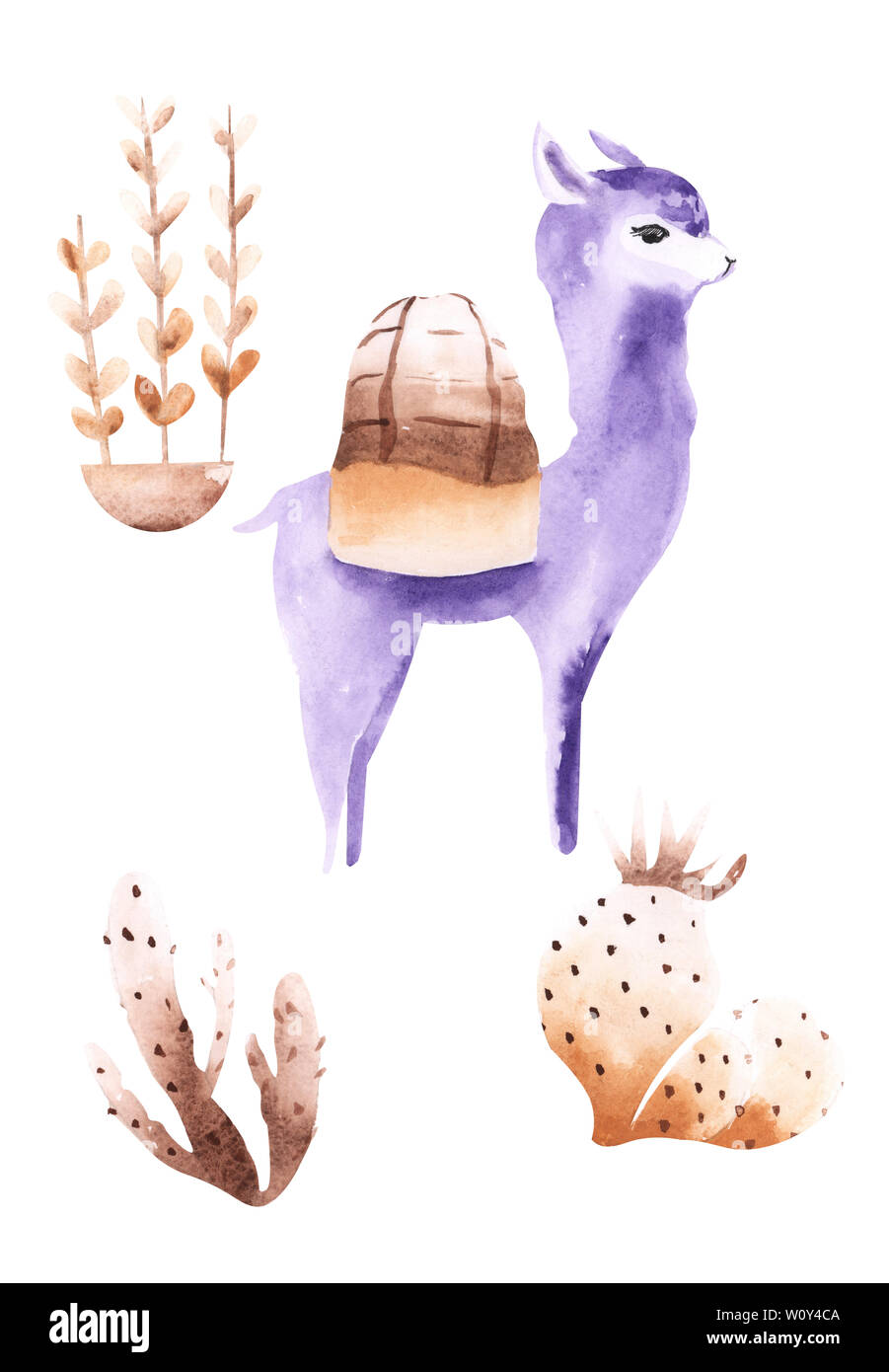 Illustration of drawing colored watercolor animal alpaca among flowers and plants on an isolated background. Stock Photo