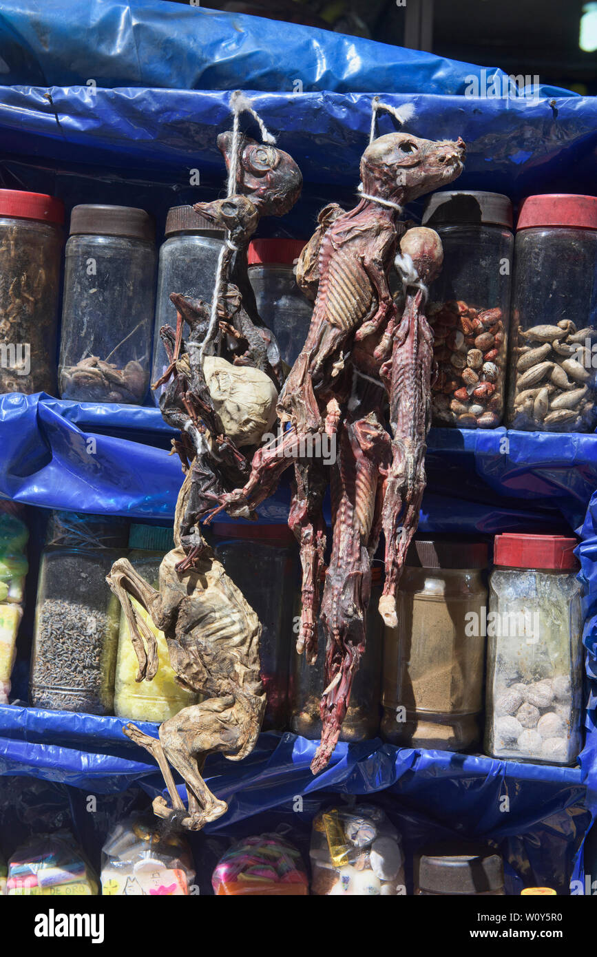 Llama fetuses and other 'cures' at the La Hechiceria Witches Market in La Paz, Bolivia Stock Photo