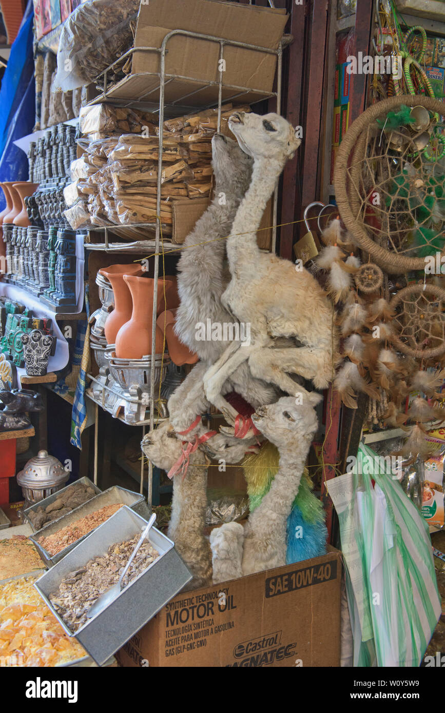 Llama fetuses and other "cures" at the La Hechiceria Witches Market in La Paz, Bolivia Stock Photo