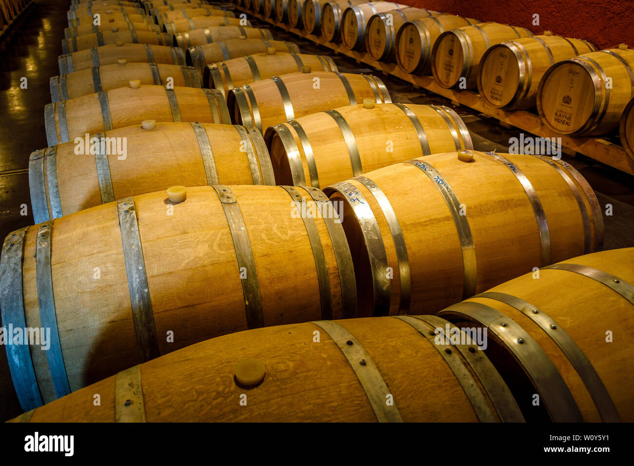 The cellars of the Chateau de Rayne vineyard near Bordeaux in France