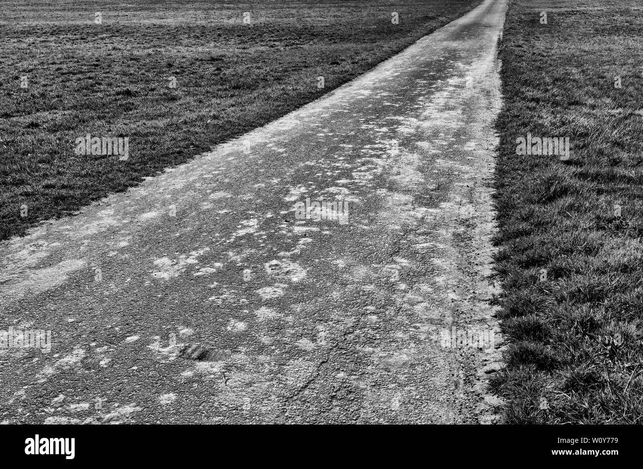 biking way, near Oberweser, Weser Uplands, Weserbergland, Hesse, Germany; Stock Photo