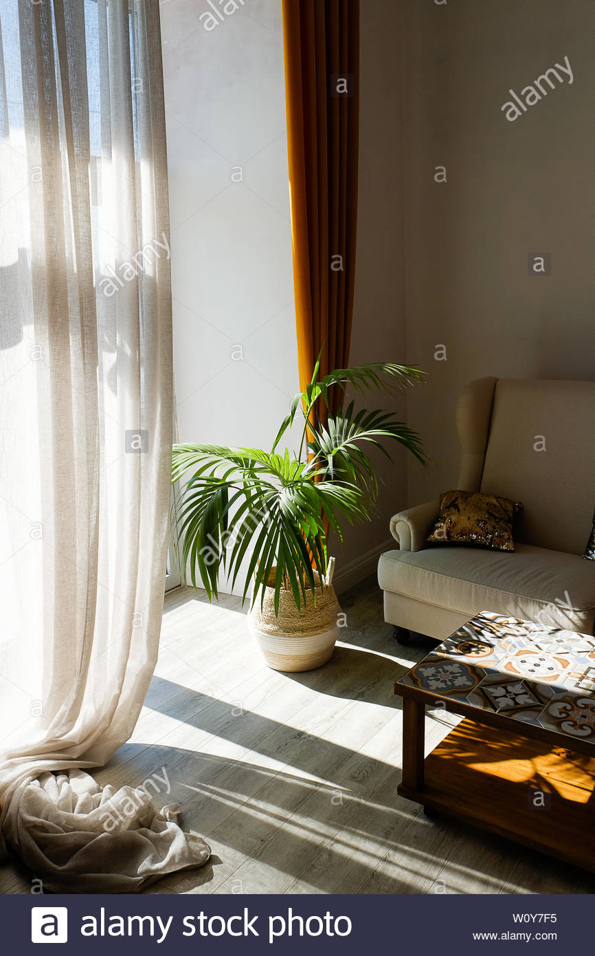 Modern Stylish Design Of The Apartment Or Room With A Sofa Coffee