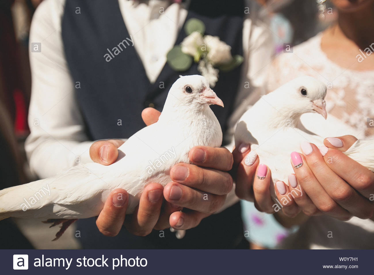 Жених и невеста с голубями
