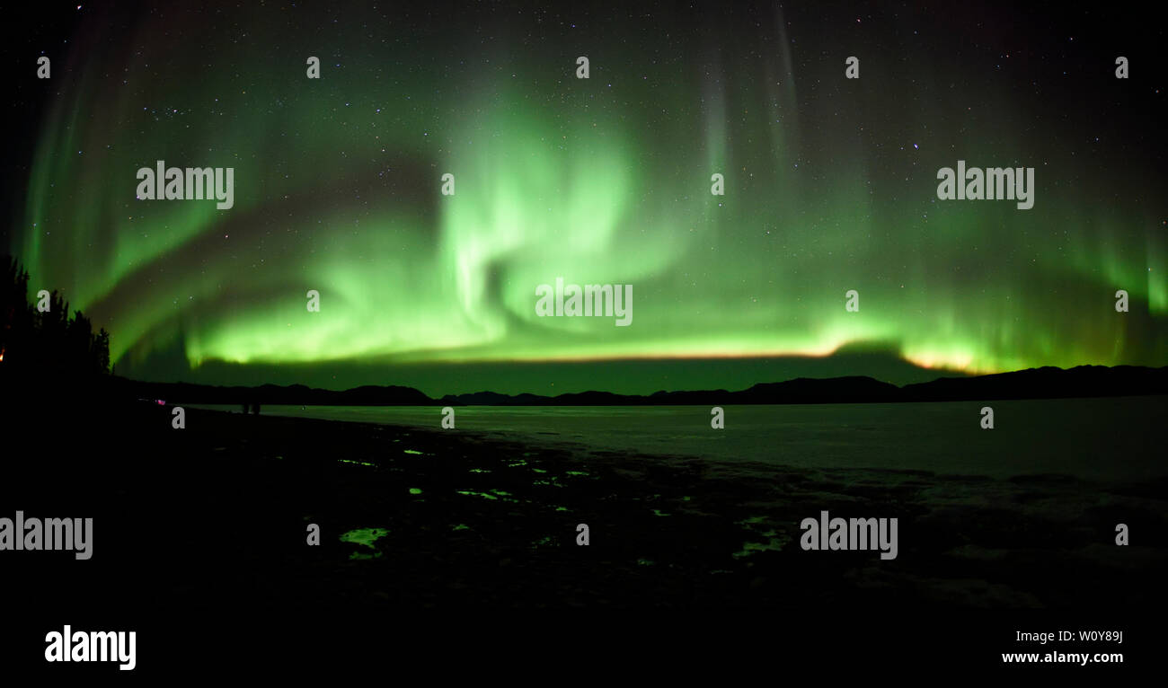 Aurora Borealis or Northern Lights from the shores of Lake Laberge north of Whitehorse, Yukon, Canada Stock Photo