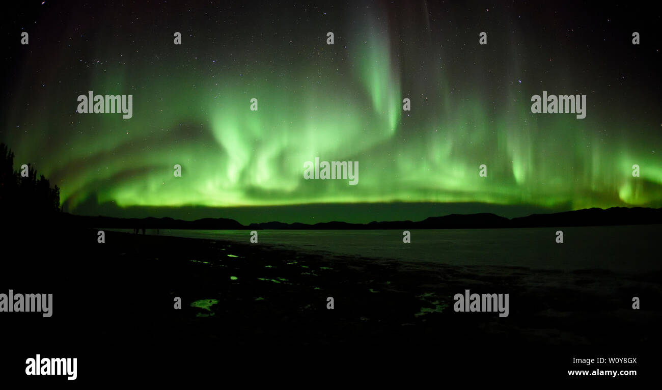 Aurora Borealis or Northern Lights from the shores of Lake Laberge north of Whitehorse, Yukon, Canada Stock Photo