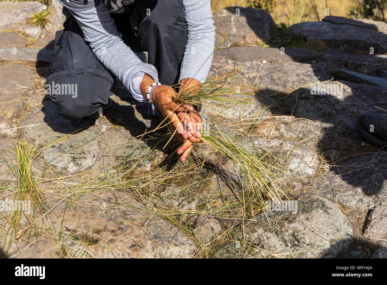 Rope making hi-res stock photography and images - Page 4 - Alamy