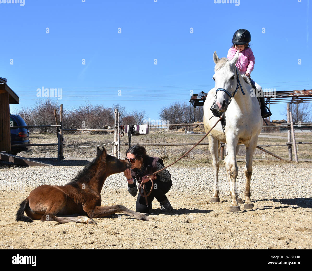 Little girl with helmet and high boots on a white mare horseback watching her mum caressing the mare’s little brown foal Stock Photo