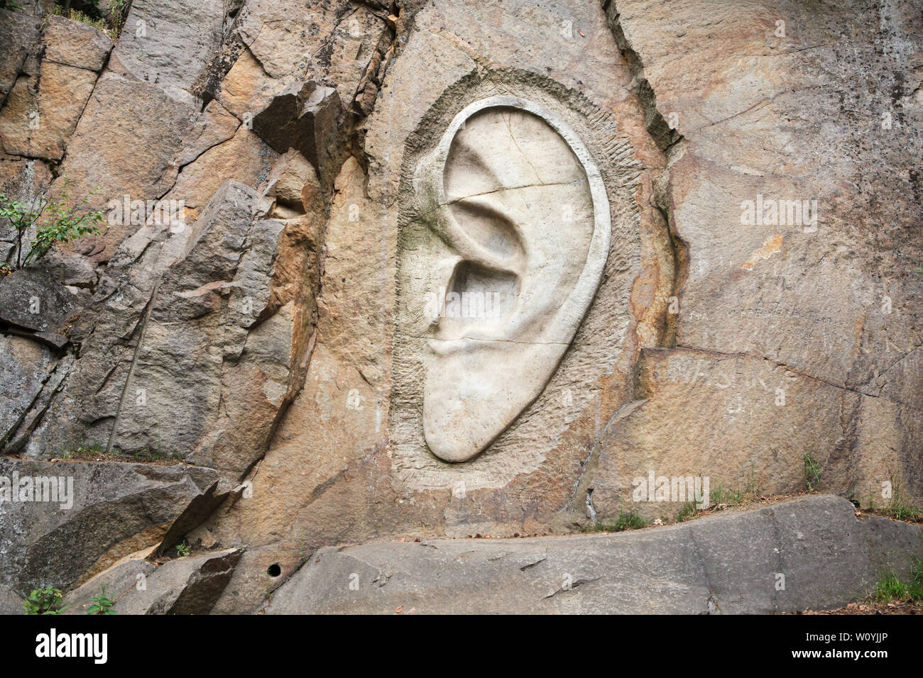 Monumental relief 'Bretschneider's Ear' (Bretschneiderovo ucho) carved by Czech sculptor Radomír Dvořák (2005) in the abandoned quarry near Lipnice nad Sázavou in Vysočina Region, Czech Republic. The relief is one of the three relieves forming the National Monument of Spying (Národní památník odposlechu) located in three nearby quarries. Police agent Bretschneider was one of the characters of the famous satirical novel The Good Soldier Švejk by Czech novelist Jaroslav Hašek, who spent last months of his life and died in Lipnice nad Sázavou. Stock Photo