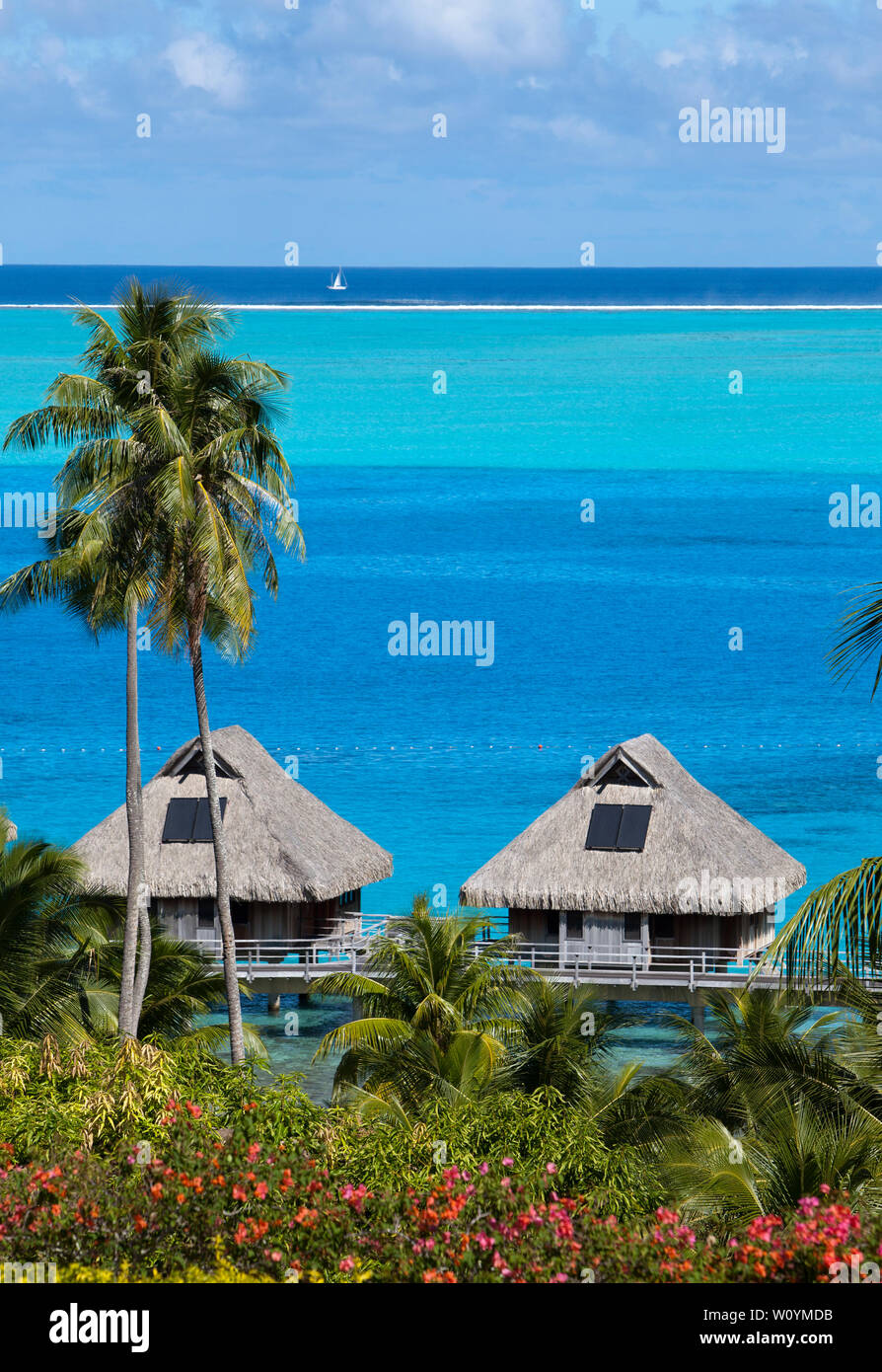 French Polynesia Over Water Bungalows Sandy Beach With Palm