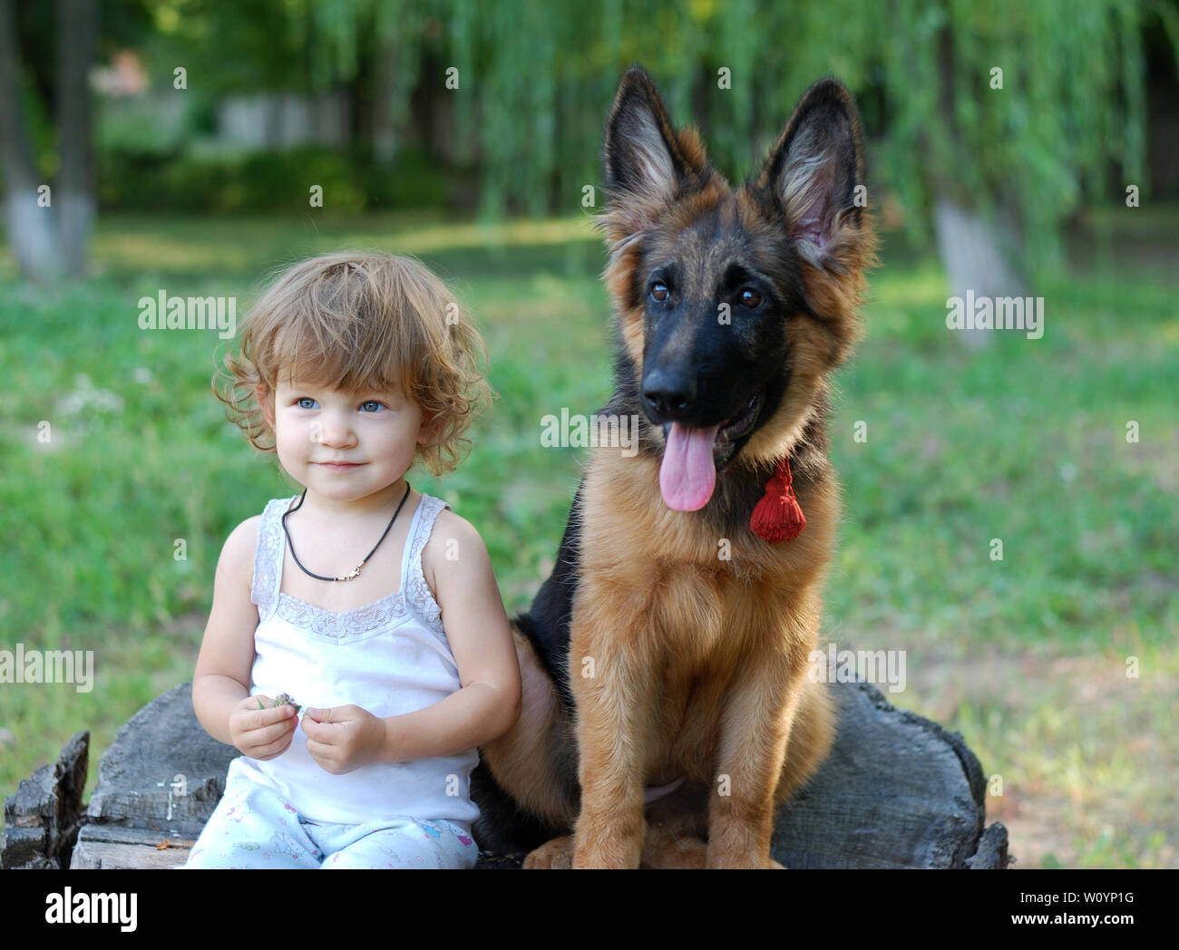 Cute Charming Toddler Girl Sitting With German Shepherd Dog In The Park Stock Photo Alamy
