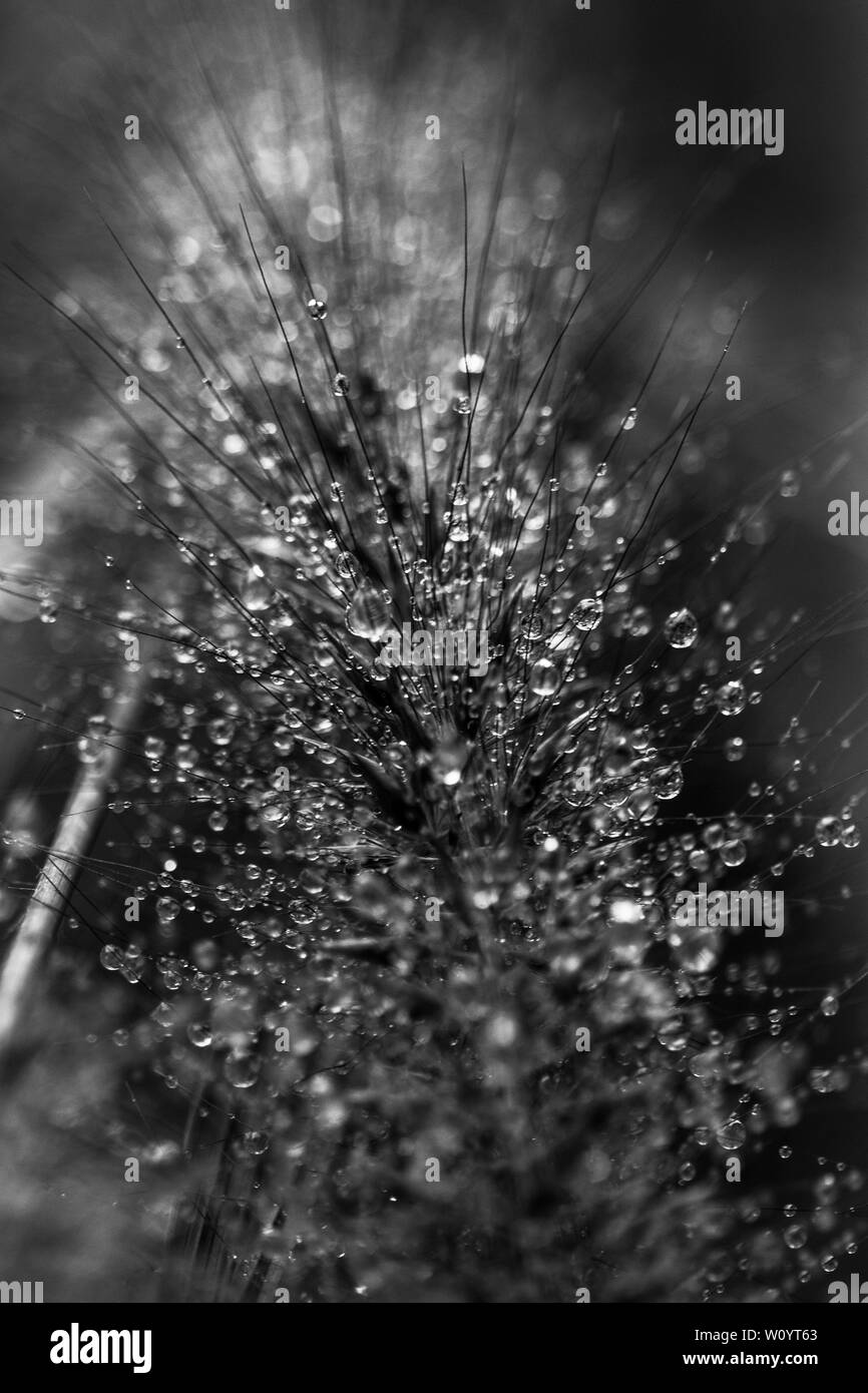 Photography of water Black and White Stock Photos & Images - Alamy