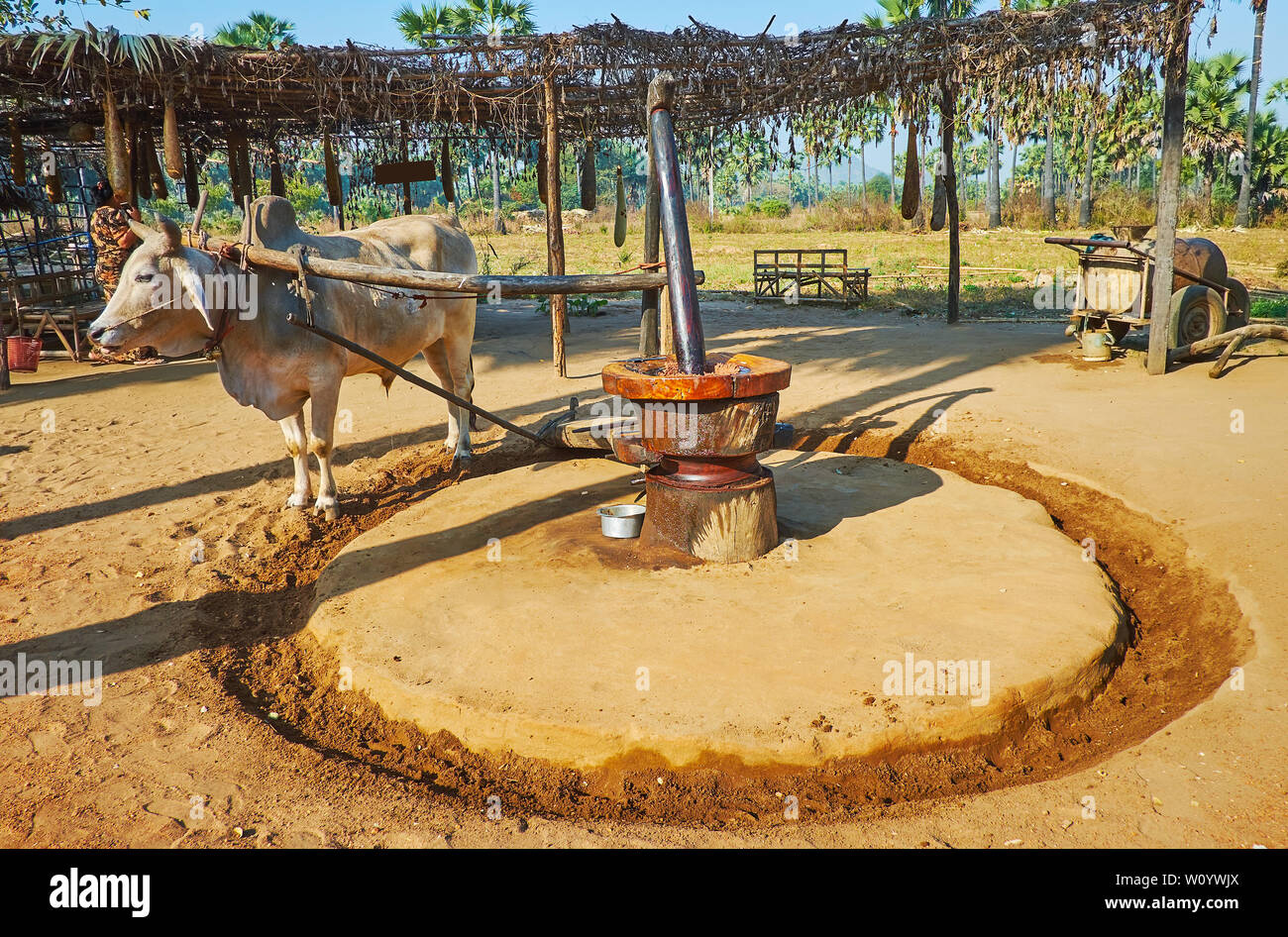 Grinding peanuts for peanut oil hires stock photography and images Alamy