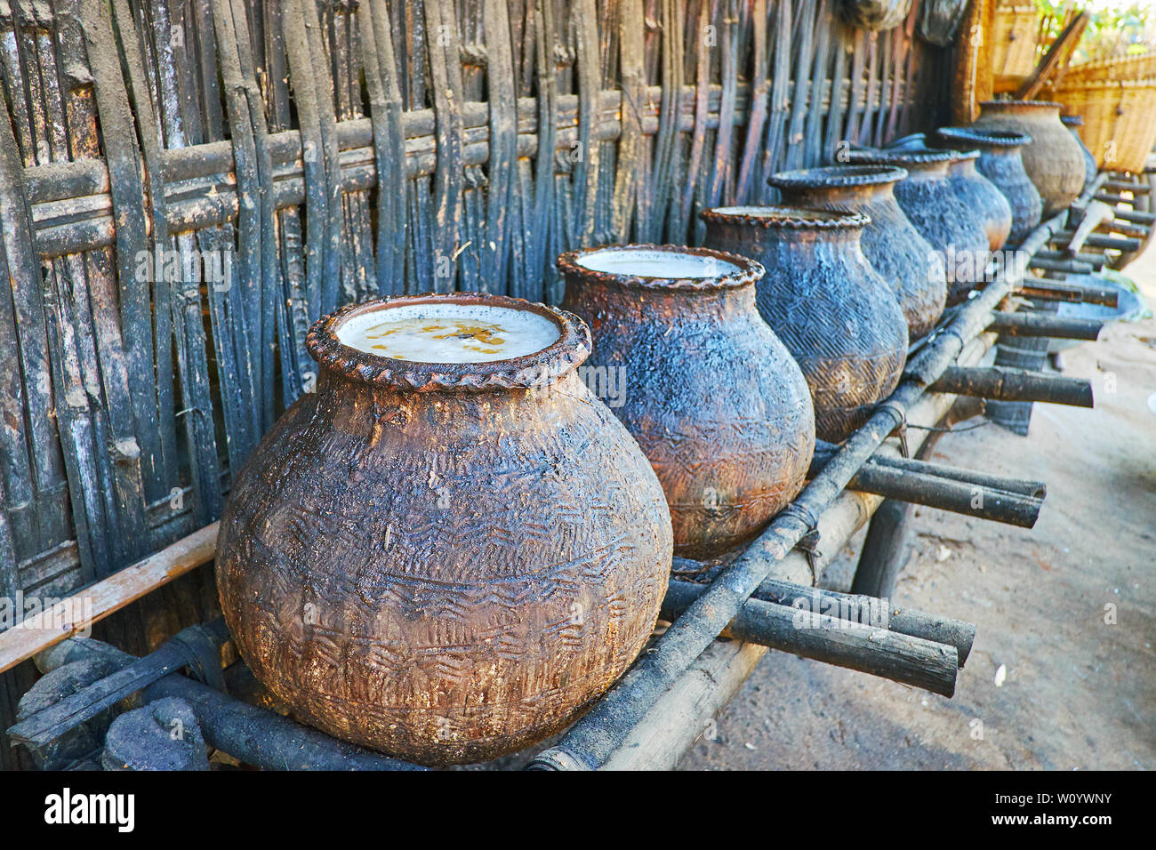 The process of palm sap fermentation in large clay jars to produce Toddy palm wine and brandy in small farmland of Bagan, Myanmar Stock Photo