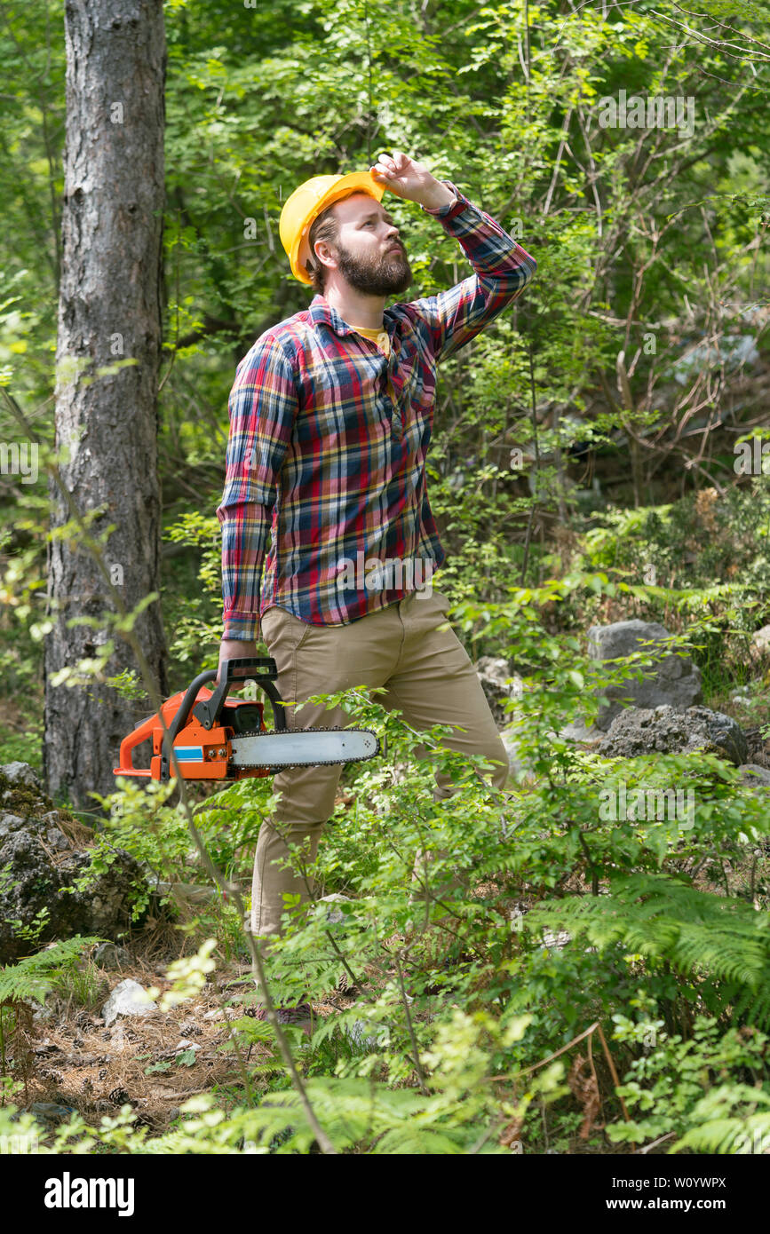 Petrol power chainsaw cutting hi-res stock photography and images - Alamy