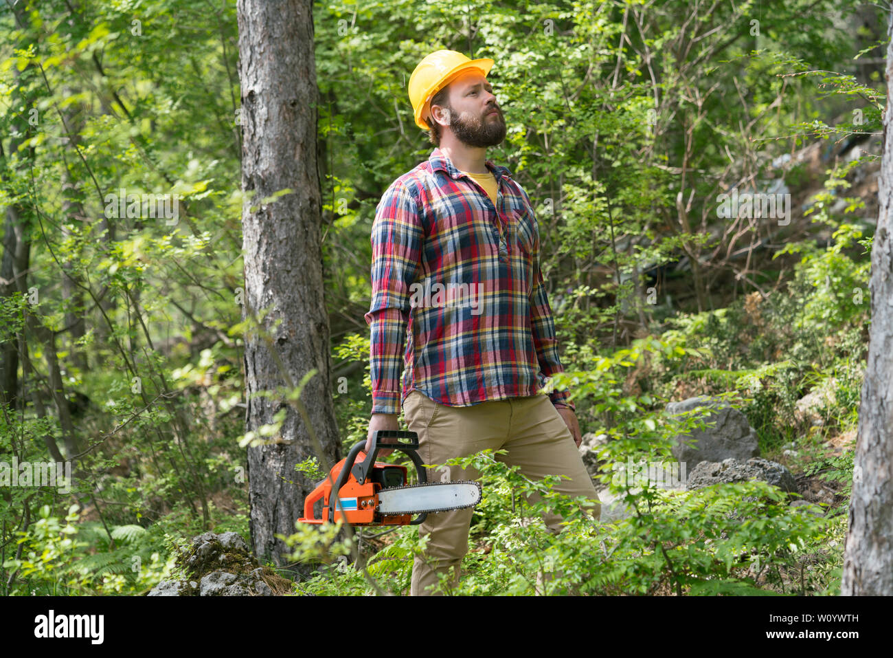 Man sawing wood chainsaw slow hi-res stock photography and images - Alamy