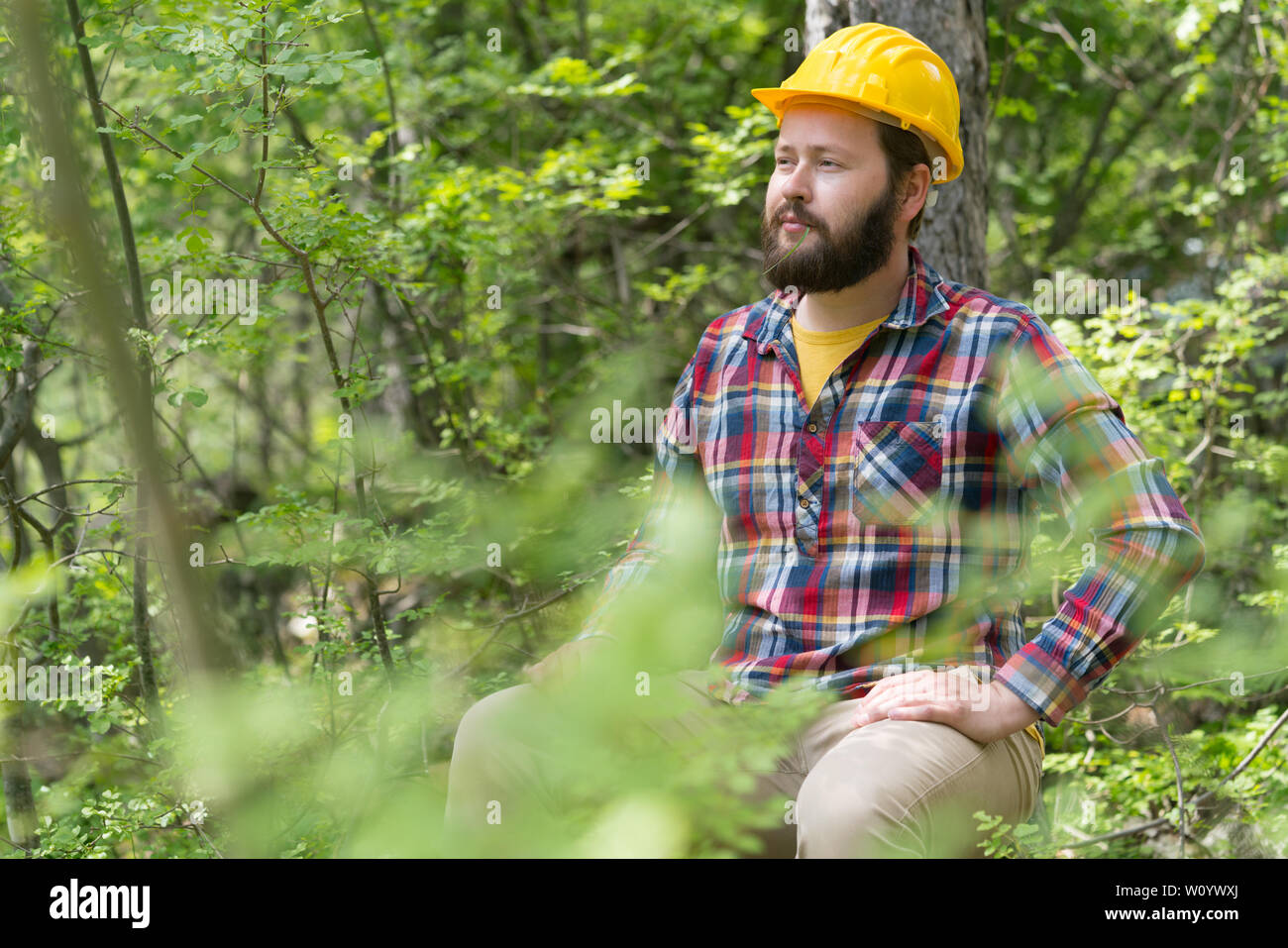 Chainsaw worker hi-res stock photography and images - Alamy
