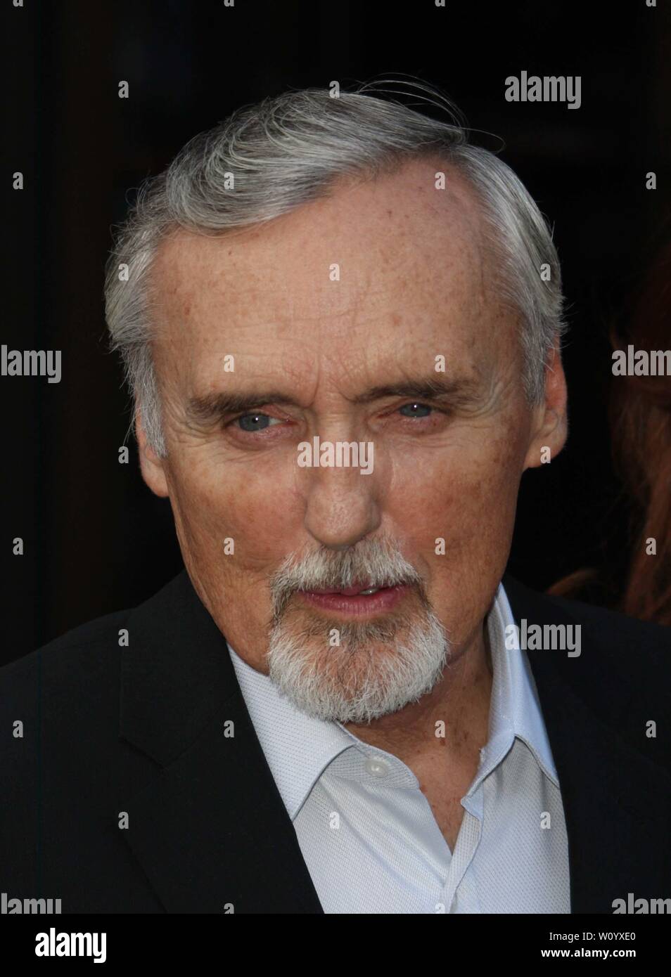 Dennis Hopper 2008 Photo By John Stock Photo Alamy