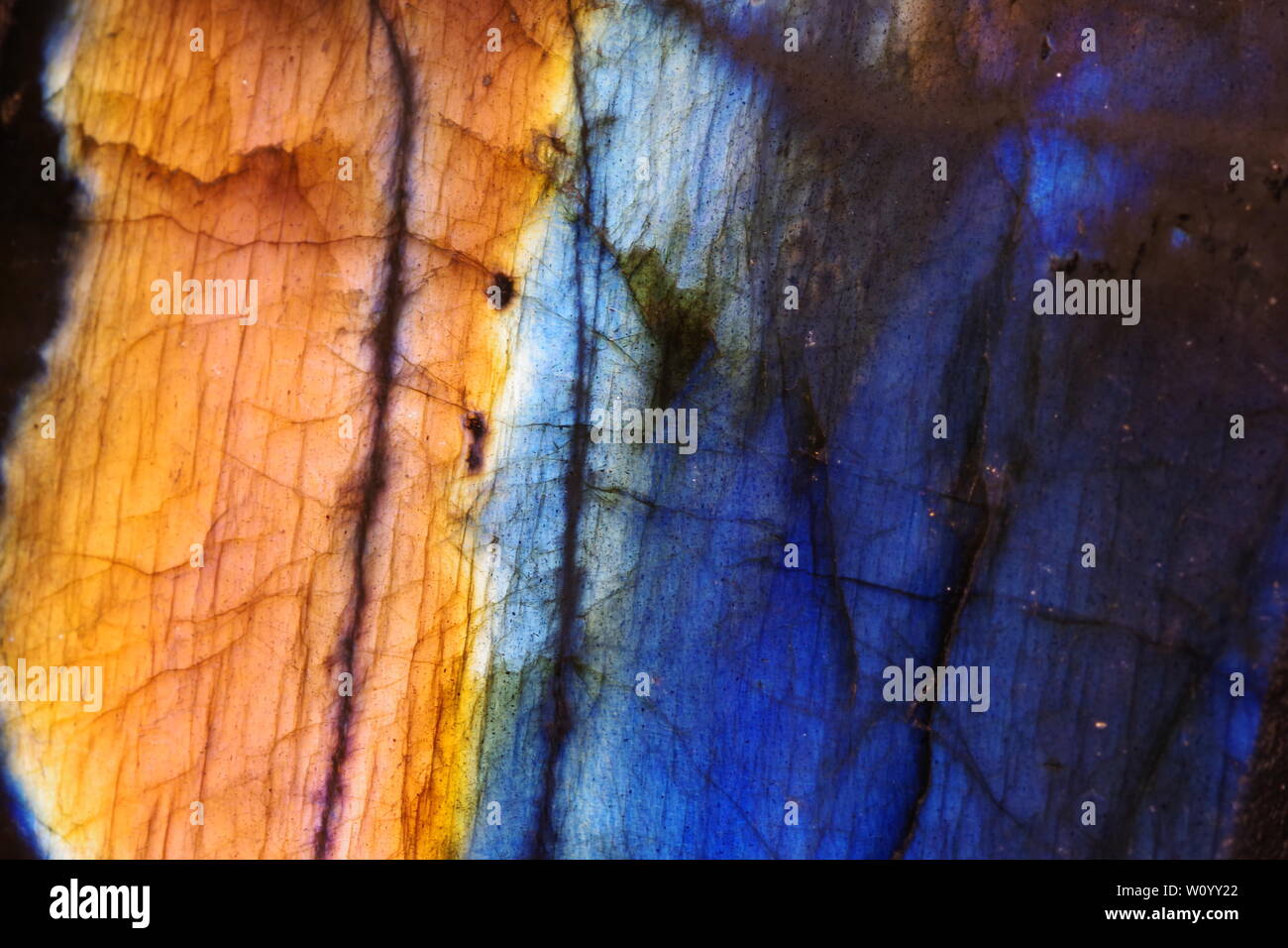 Labradorite Geological Sample. Macro Abstract Close Up Photo. Displaying Colourful