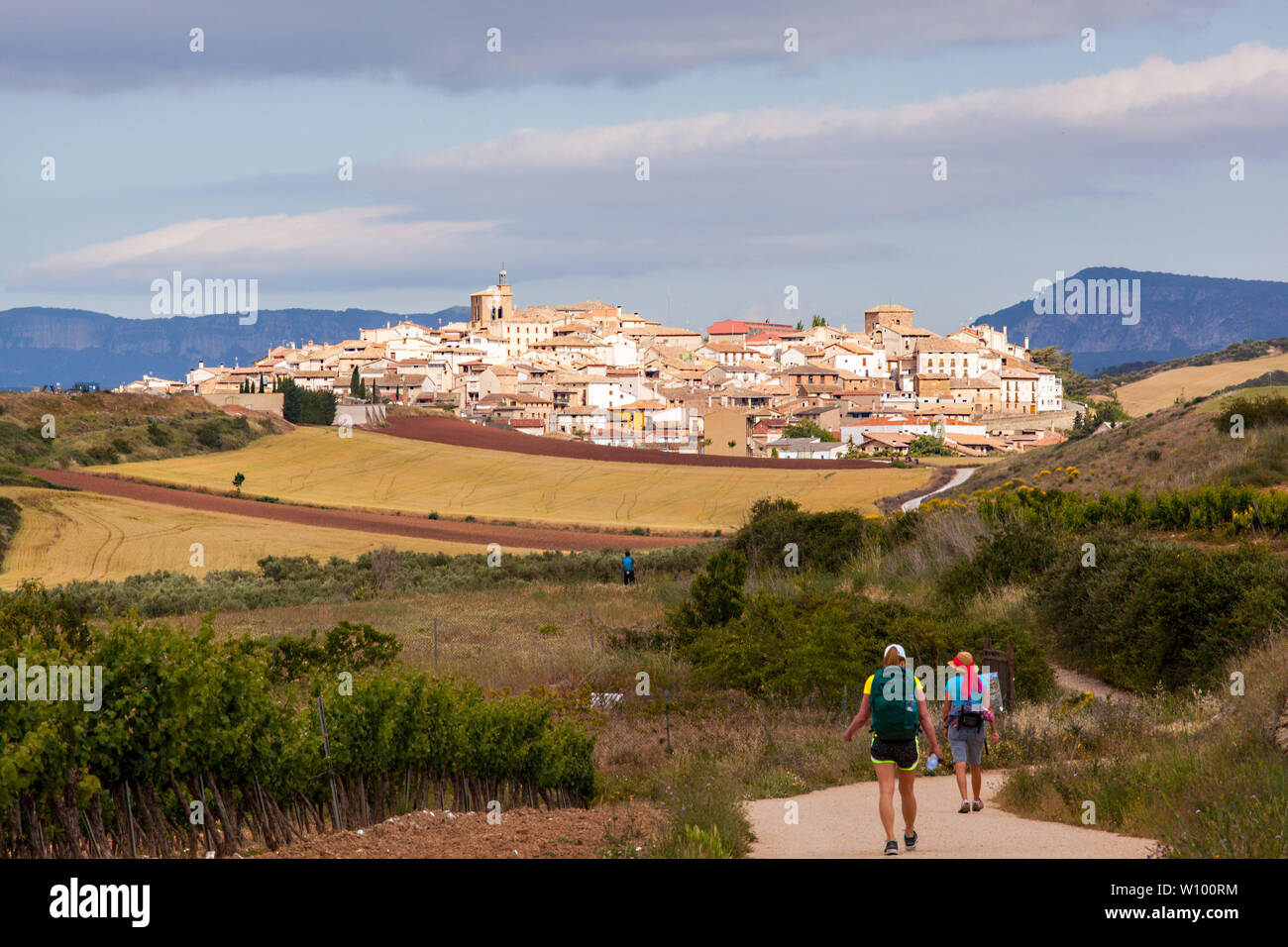 Pilgrims walking in the Spanish countryside on the Camino de Santiago the way of St James approaching the village of Cirauqui Navarra Spain Stock Photo