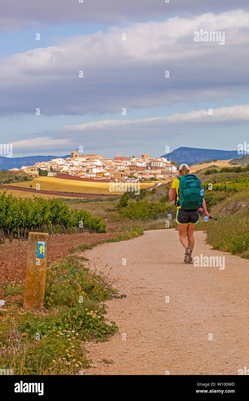 Woman pilgrim walking in the Spanish countryside on the Camino de Santiago the way of St James approaching the village of Cirauqui Navarra Spain Stock Photo