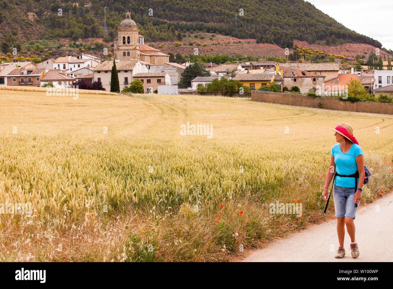 Woman pilgrim walking in the Spanish countryside on the Camino de Santiago the way of St James in Navarra Spain Stock Photo