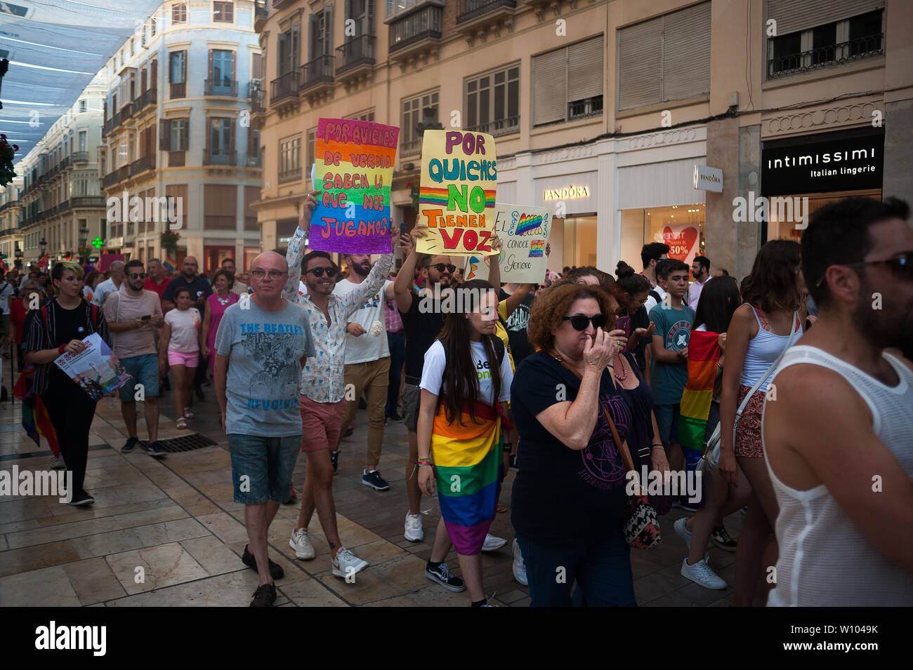 People hold up placards while marching along the street during a demonstration to celebrate the International Pride LGTBI Day 2019, organized by Andalusia Rainbow Federation.Thousands of people around the world take part on the Pride LGTBI, marked the anniversary of 50 years of Stonewall riot which commemorated the fight of gays, lesbians, transgender, bisexuals and intersexual during the first demonstrations in US in favour of their rights. Stock Photo