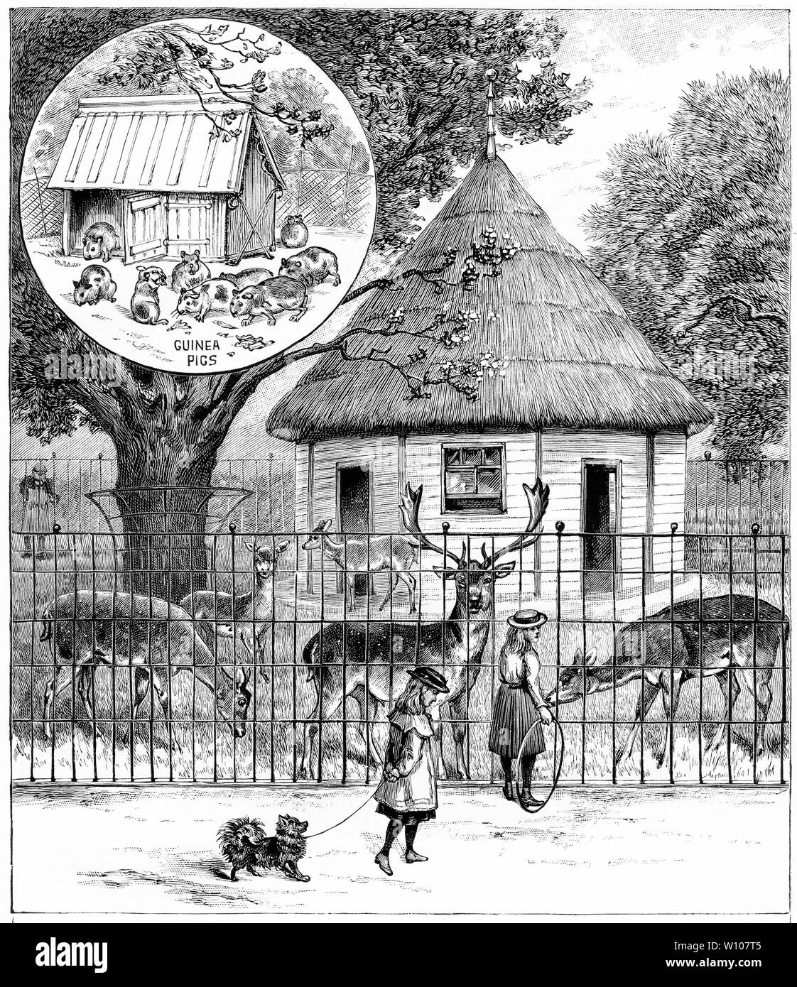 Engraving of a children visiting deer and guinea pigs at Clissold Park,an open space in Stoke Newington, in the London Borough of Hackney. Stock Photo