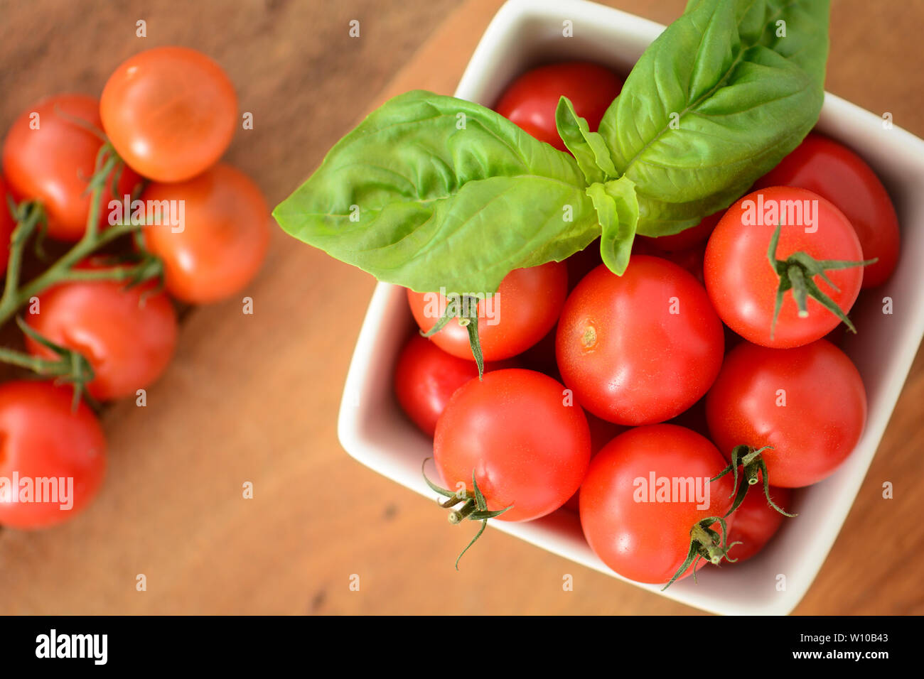 Fresh picked organic cherry tomatoes with vibrant basil leaves in ...