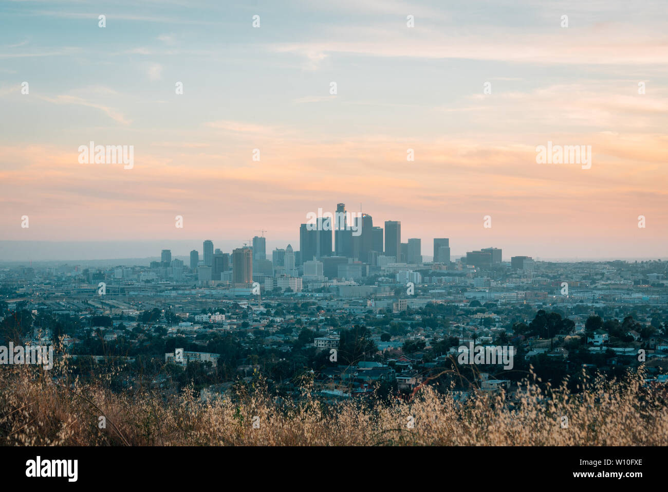 View of the downtown Los Angeles skyline at sunset from Ascot Hills