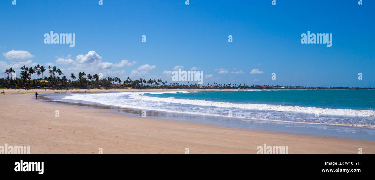Tropical beach at Pernambuco, Brazil Stock Photo