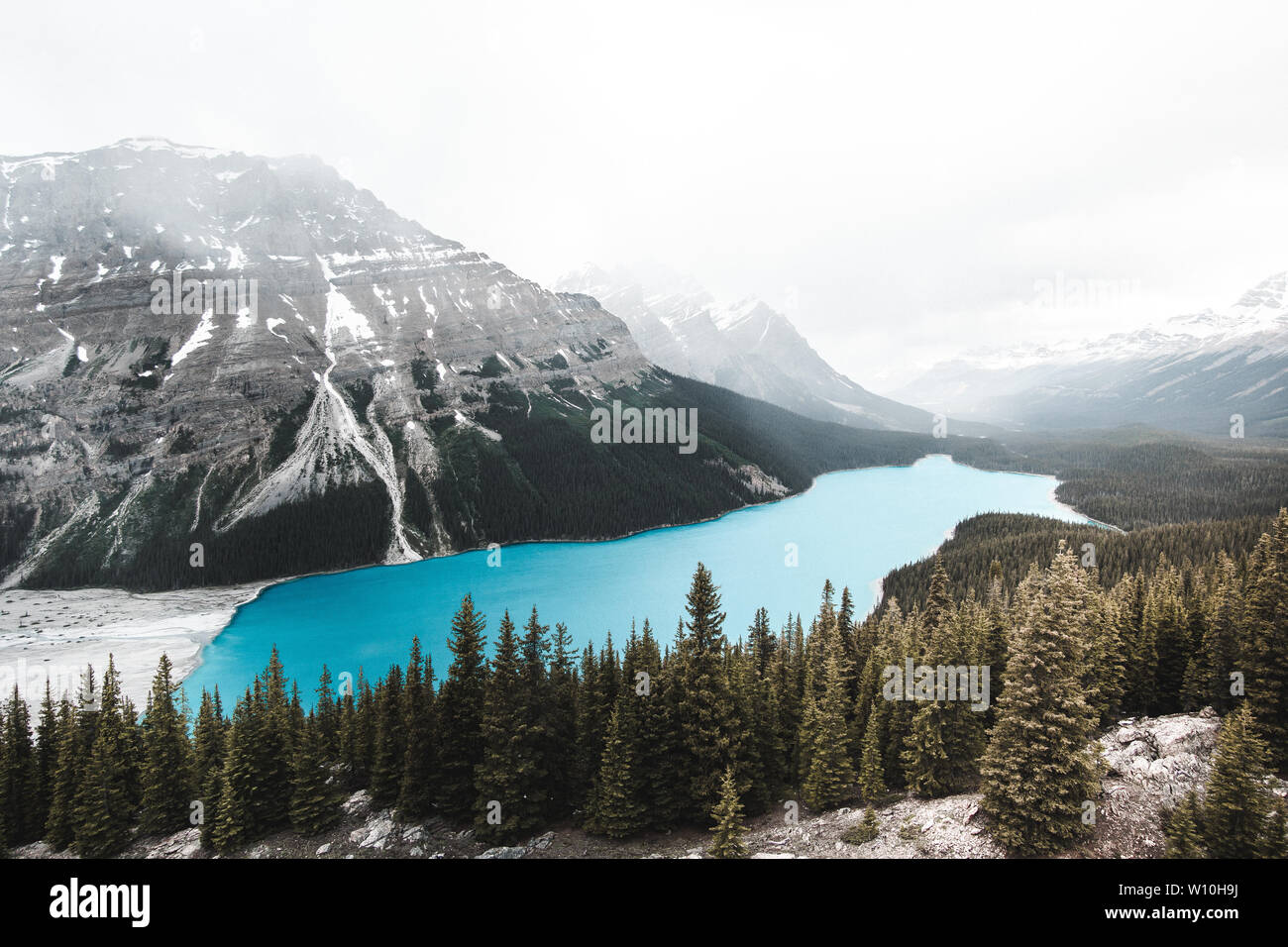 Turquoise Lake Peyto in Banff National Park, Canada. Mountain Lake as a 'fox head' is popular among tourists Stock Photo