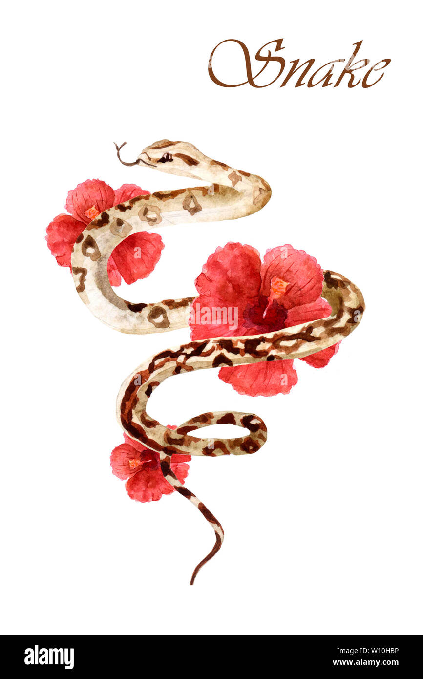 Watercolor snake with tropical flowers isolated on a white background ...