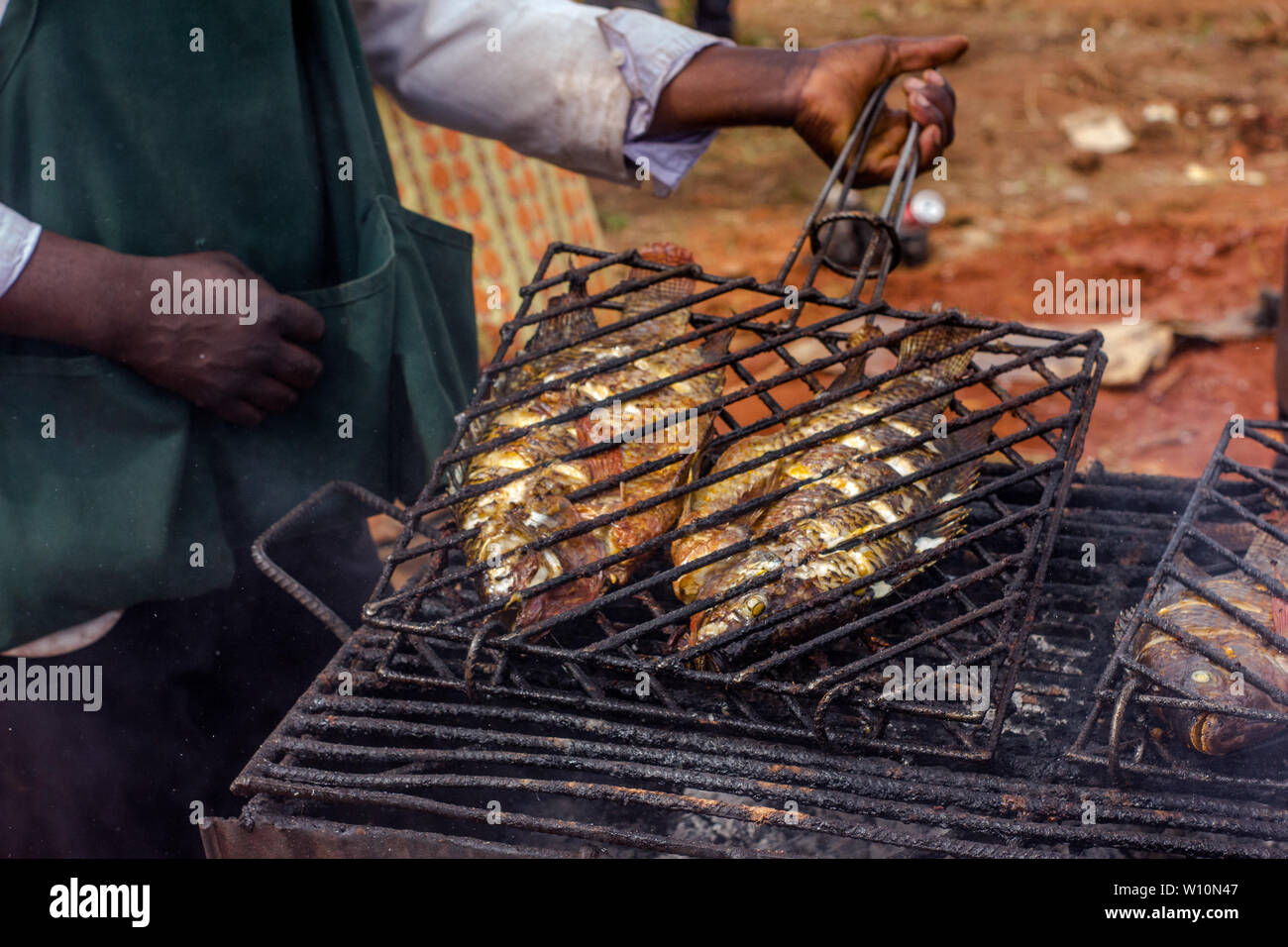 Freshwater river tilapia fish grilled on a cast iron gridiron grill barbecue Stock Photo