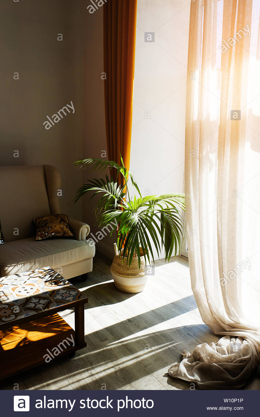 Modern Stylish Design Of The Apartment Or Room With A Sofa Coffee
