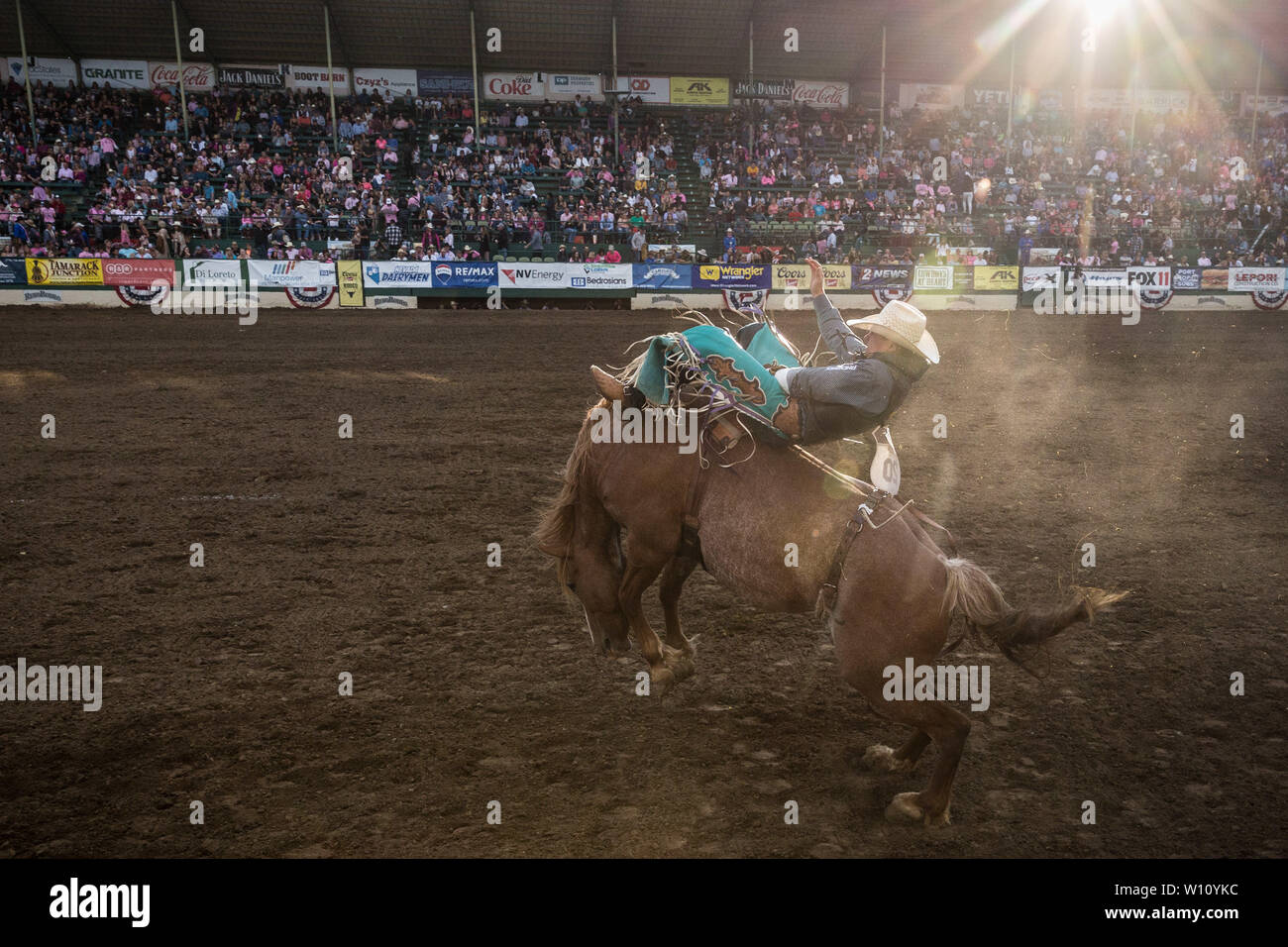 Bareback Bronc Riding High Resolution Stock Photography and Images - Alamy