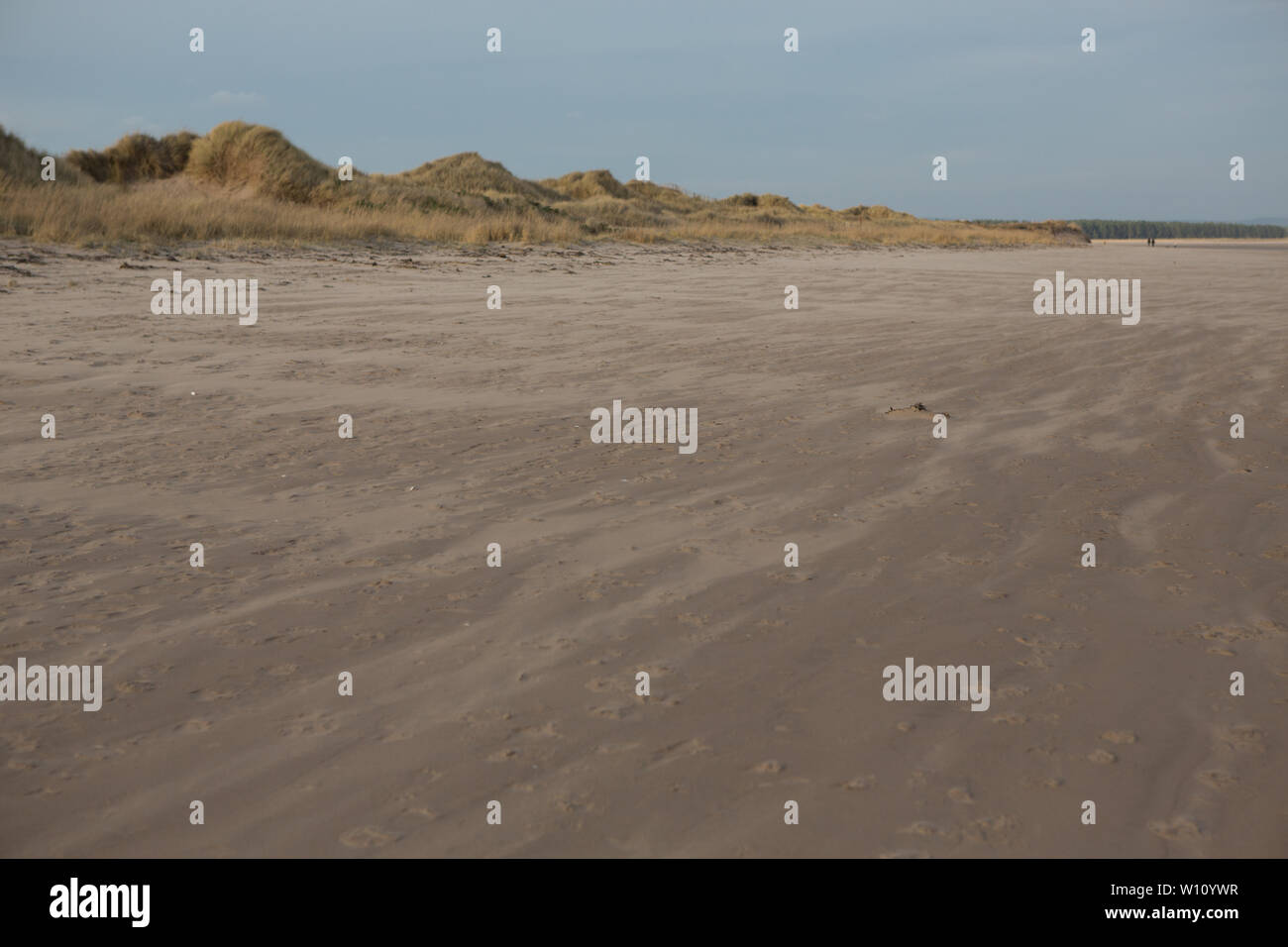 Blowing sand along the dunes of West Sands Beach, St. Andrews, Fife, Scotland. Stock Photo