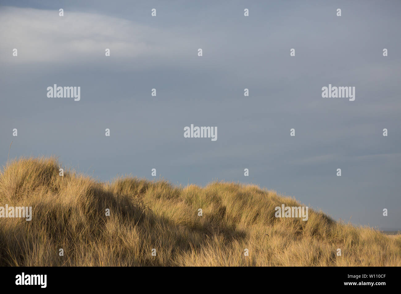 Sand dunes covered with grass, West Sands Beach, St. Andrews, Fife, Scotland. Stock Photo
