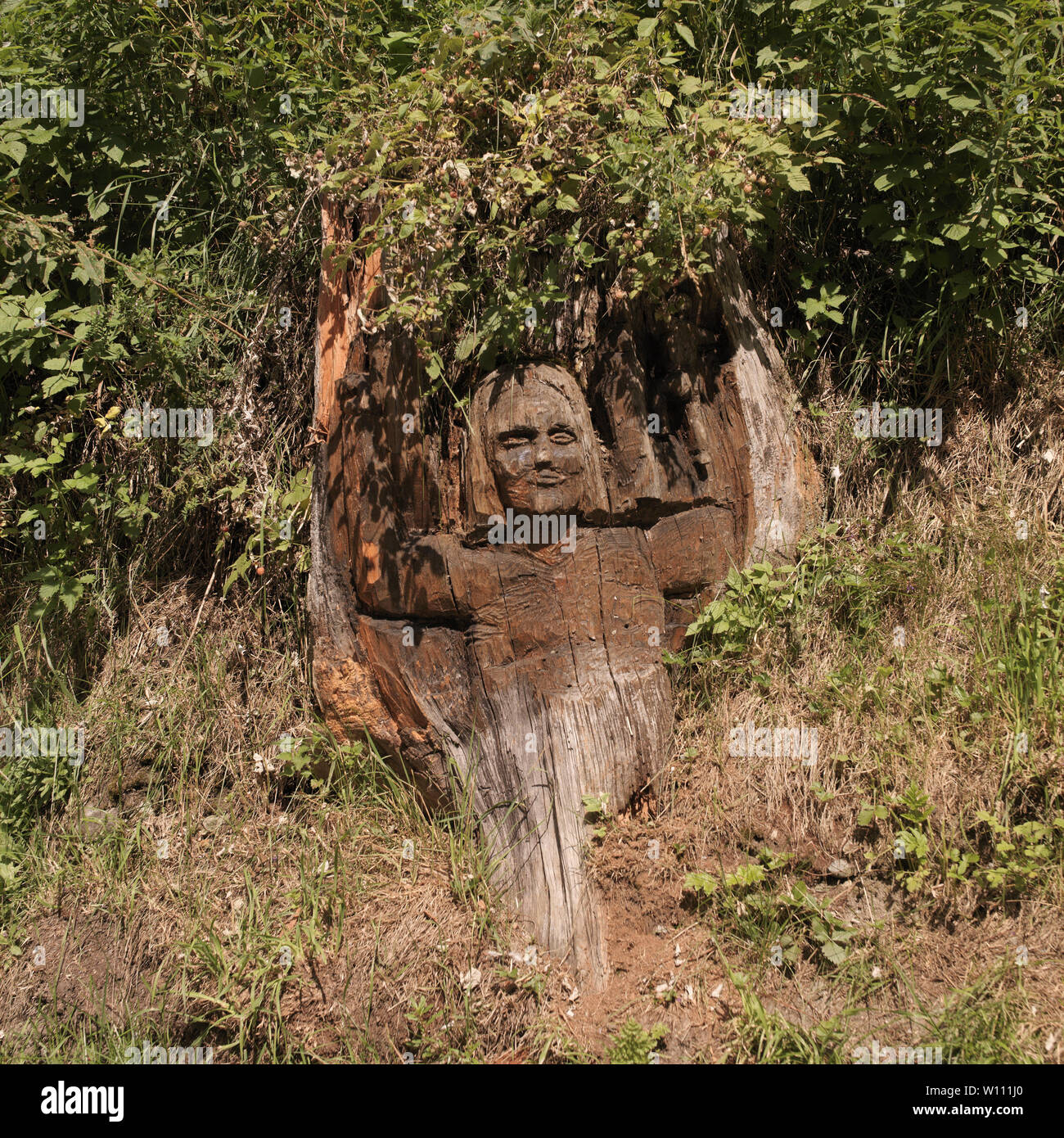 Ayas, Aosta Valley, Italy - August 10, 2006: Tree trunk carved along a mountain path. Stock Photo