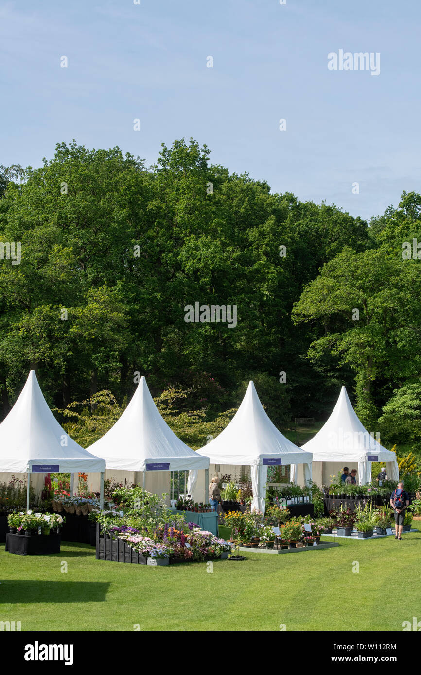 Plant nursery stands at RHS Harlow Carr flower show. Harrogate, England Stock Photo
