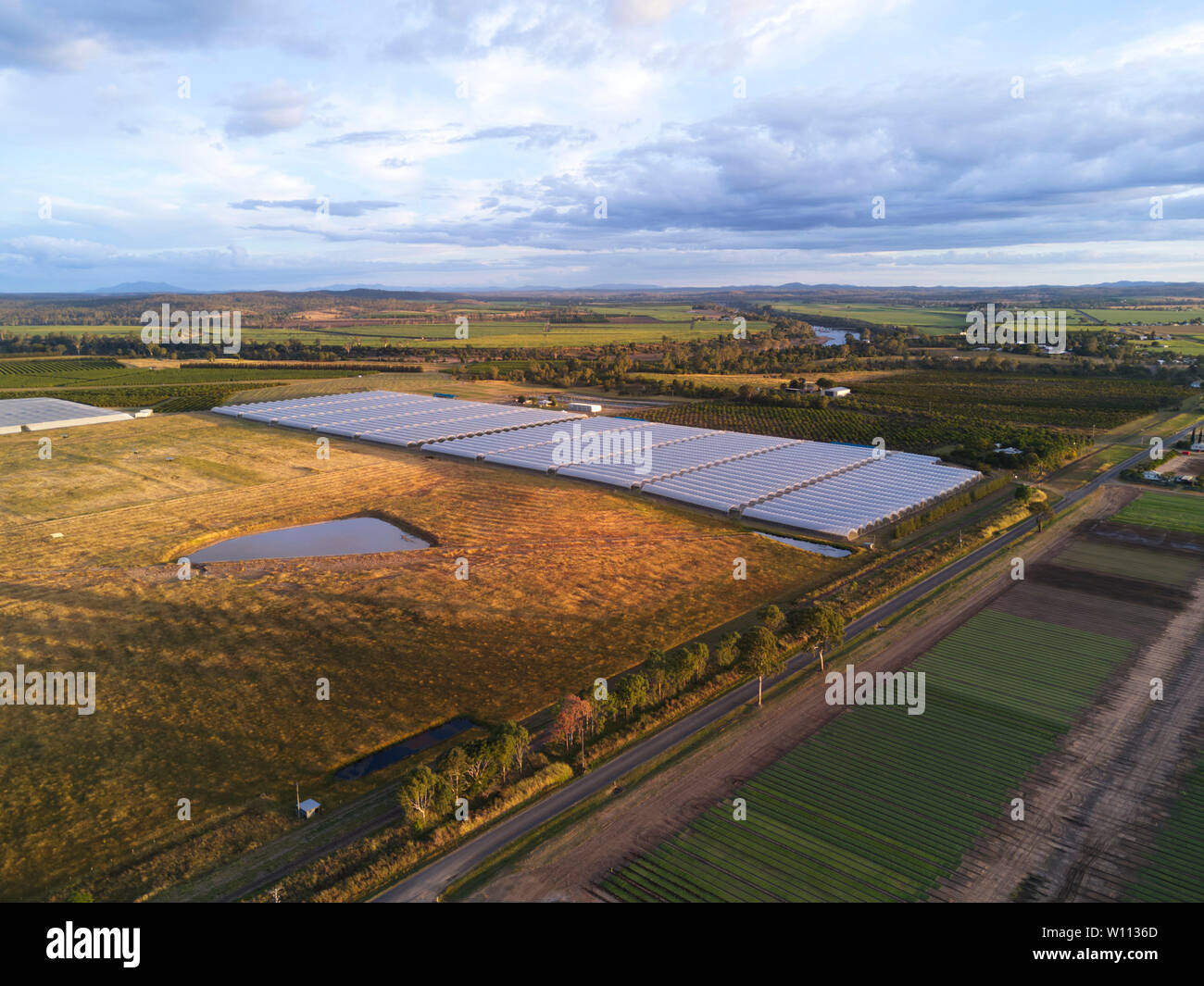Aerial of hydroponic blueberry farm grown under plastic tunnels at sunset near Wallaville Queensland Australia Stock Photo