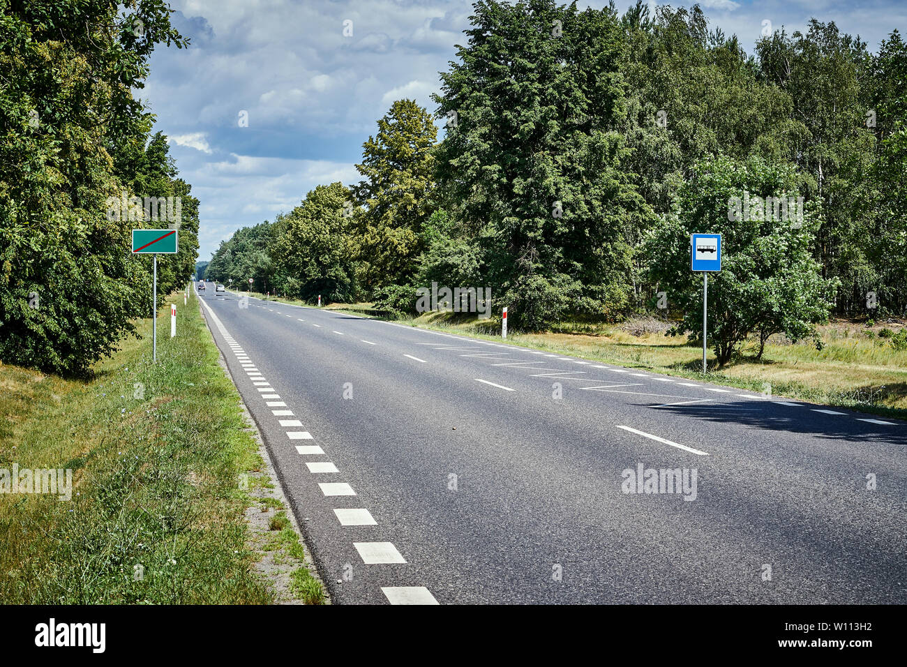 asphalt road in the green forest in summer Stock Photo - Alamy
