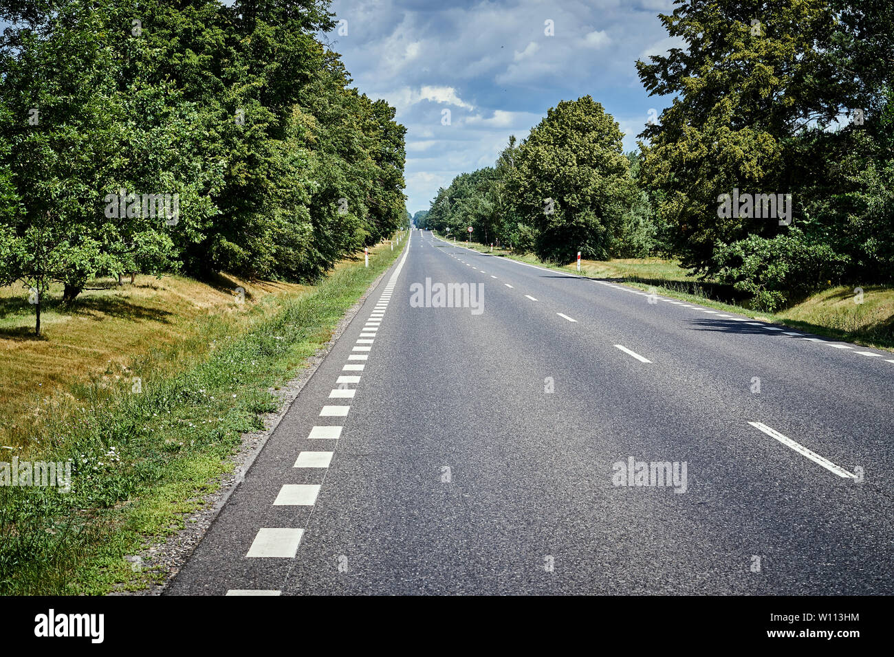 asphalt road in the green forest in summer Stock Photo - Alamy