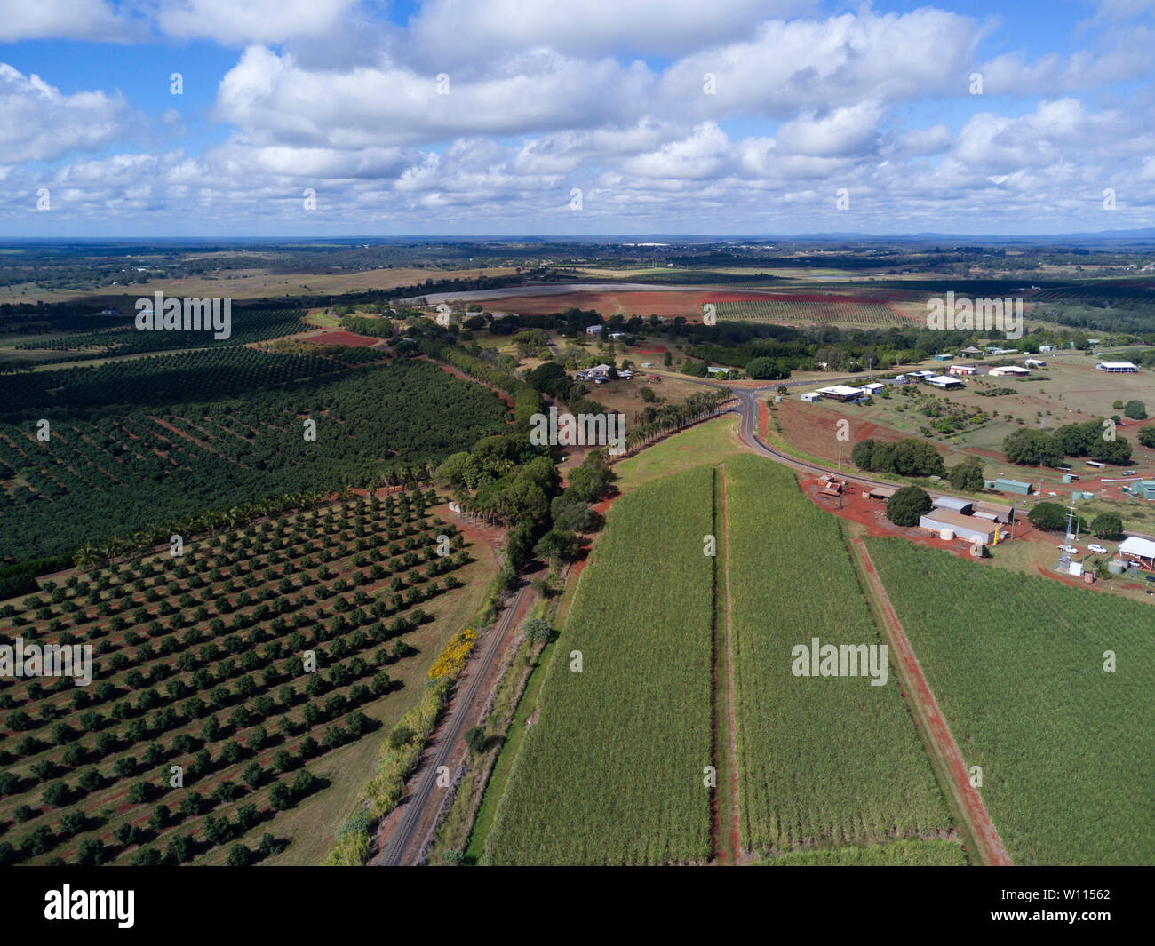 Aerial of macadamia nut plantation near Childers Queensland Australia Stock Photo