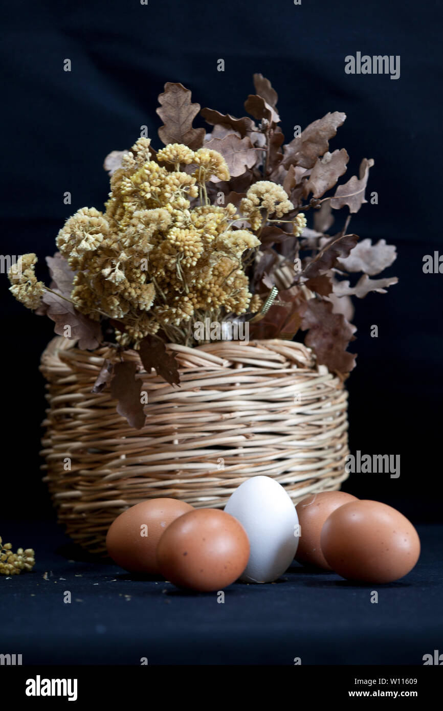 Still Life - Vase, flowers and fruits on a black background Stock Photo ...