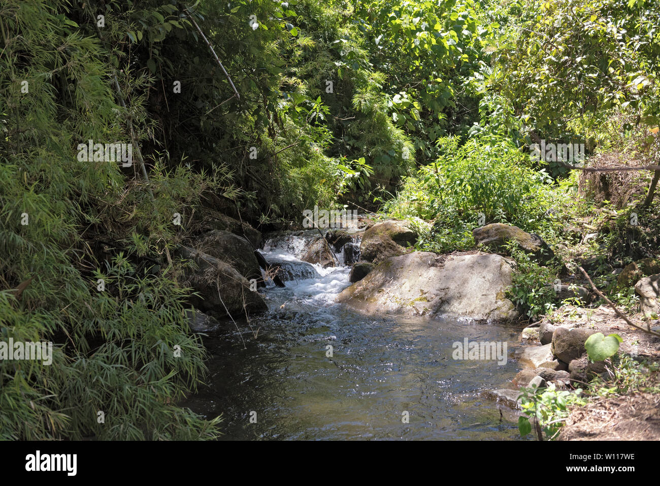 Small stream in Volcan Baru National Park Panama Stock Photo