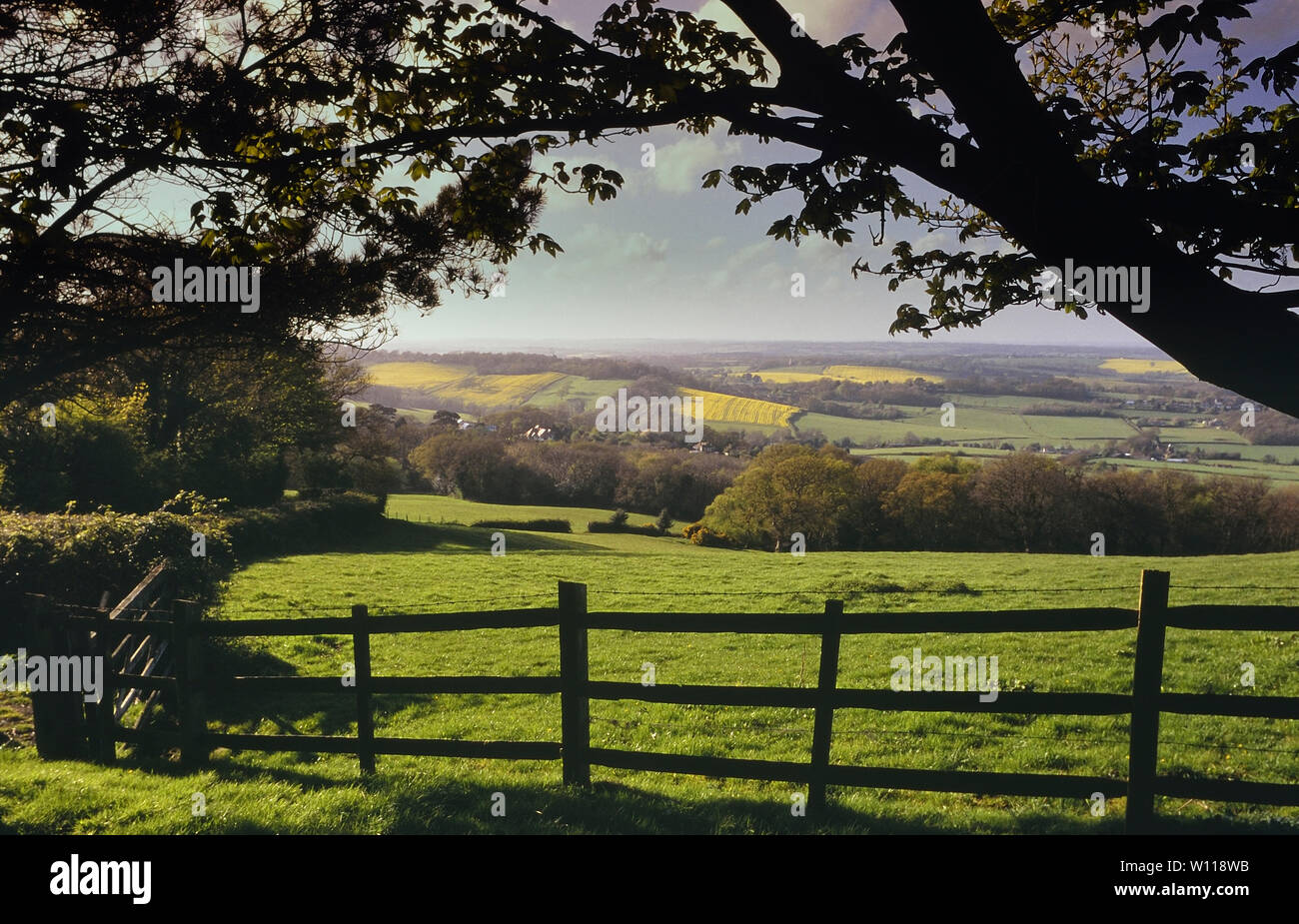 Battery Hill viewpoint, Fairlight, near Hastings, East Sussex, England