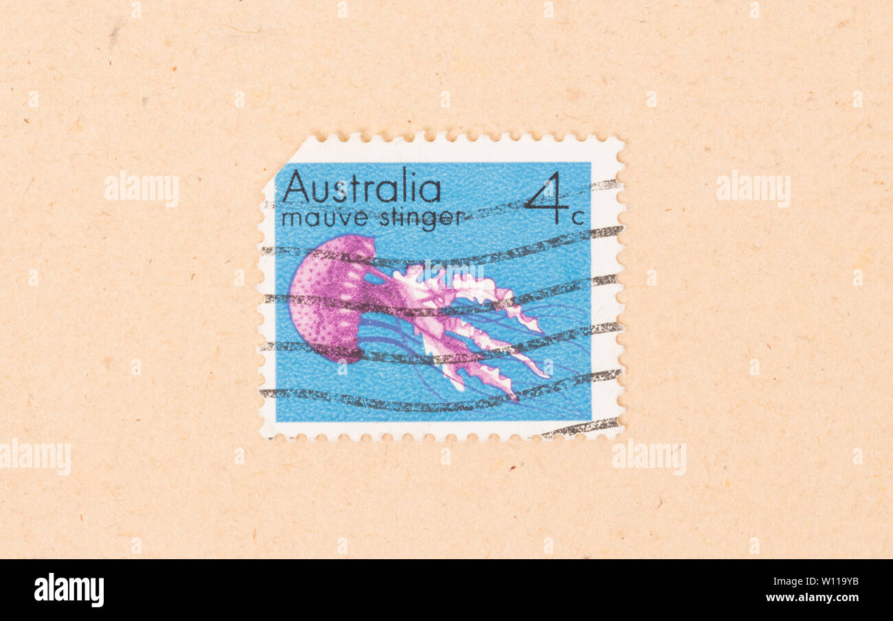 AUSTRALIA - CIRCA 1980: A stamp printed in Australia shows a Mauve Stinger, circa 1980 Stock Photo
